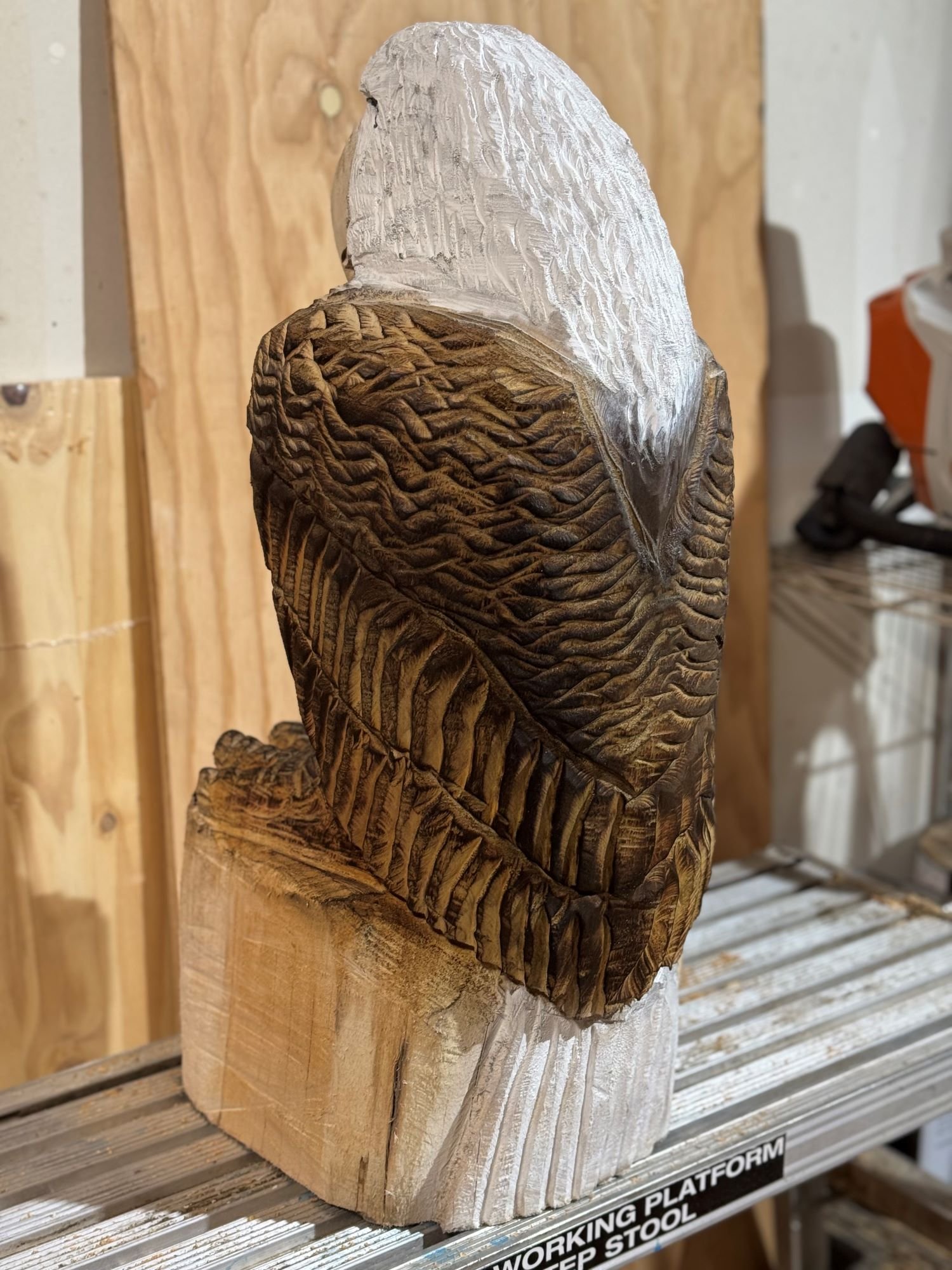 Perched_Eagle1-5.jpg