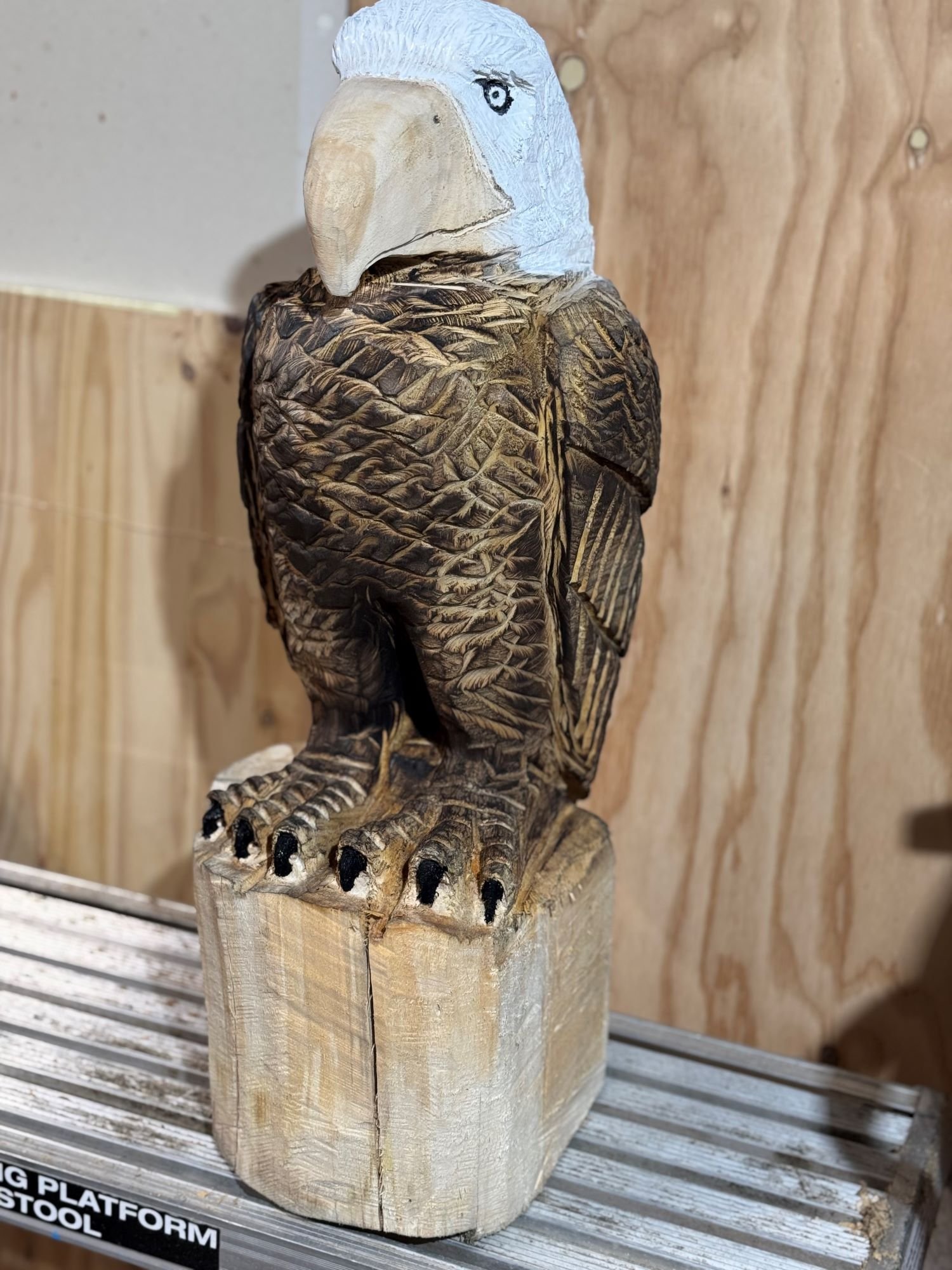 Perched_Eagle1-3.jpg