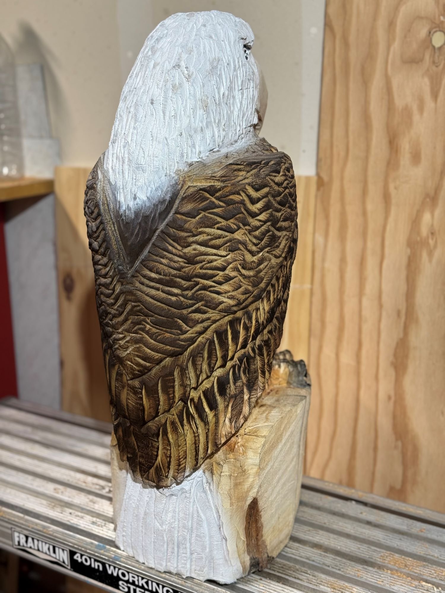 Perched_Eagle1-6.jpg