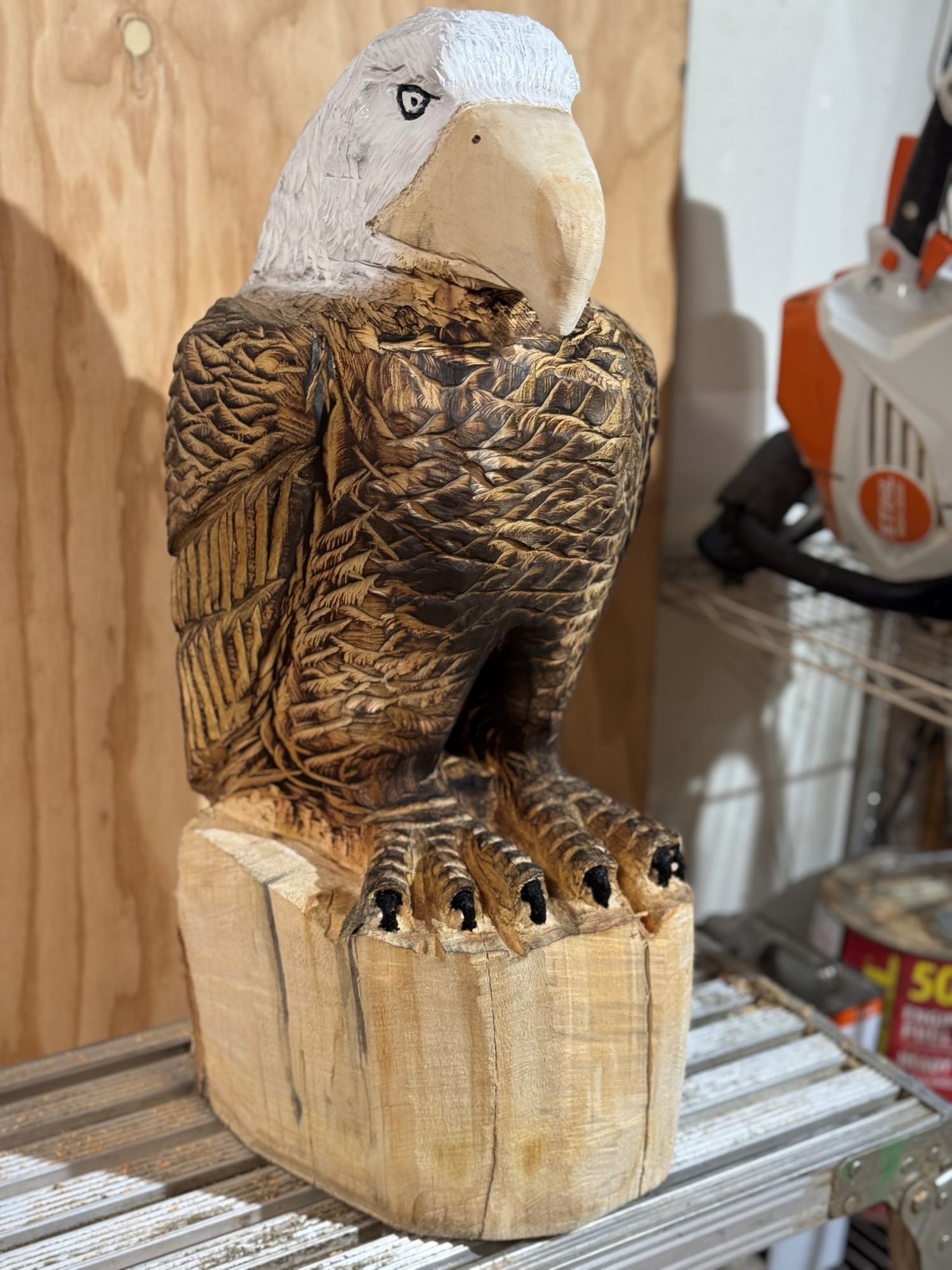 Perched_Eagle1-2.jpg