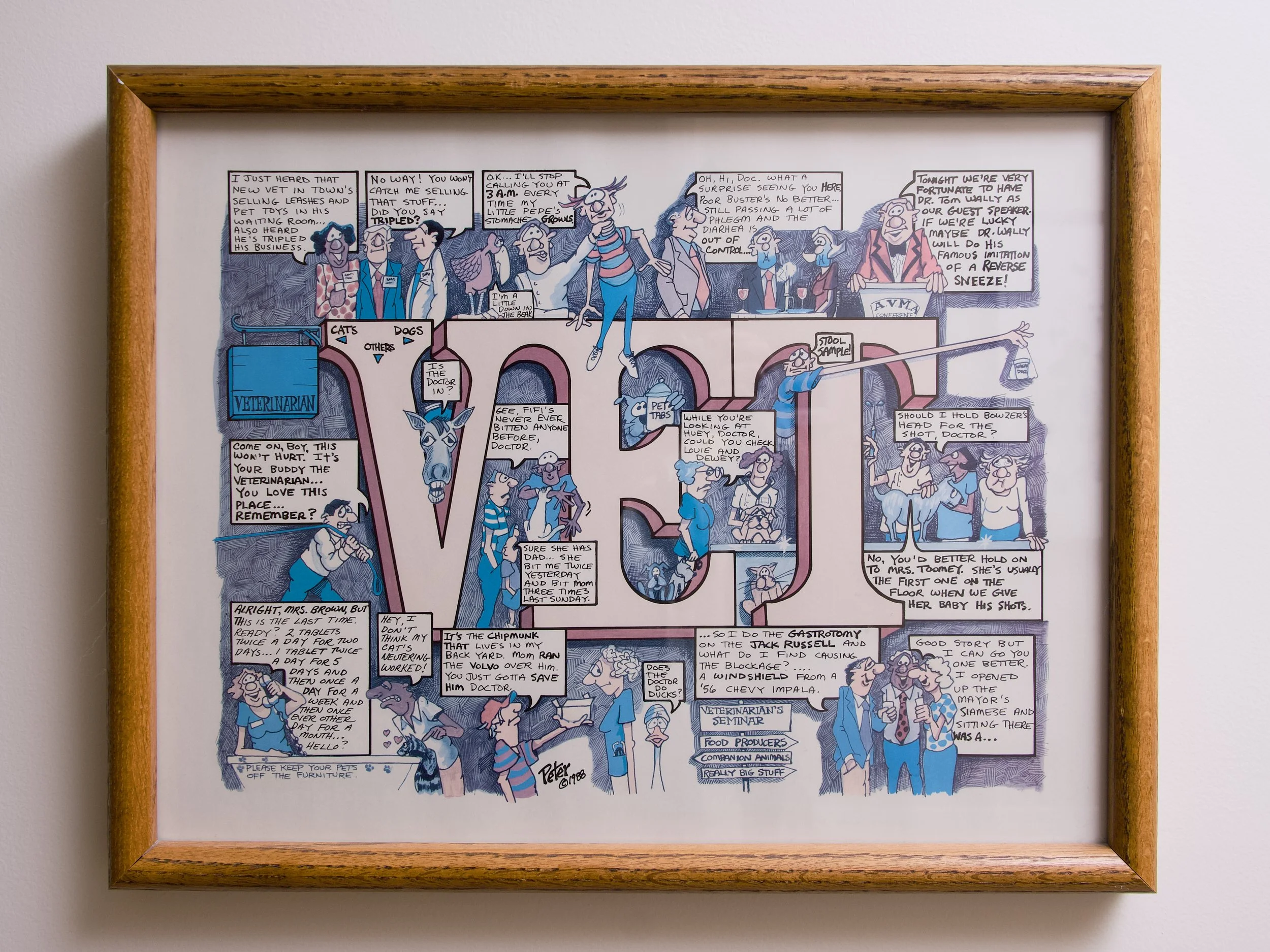 Pitman Animal Hospital 14.jpg