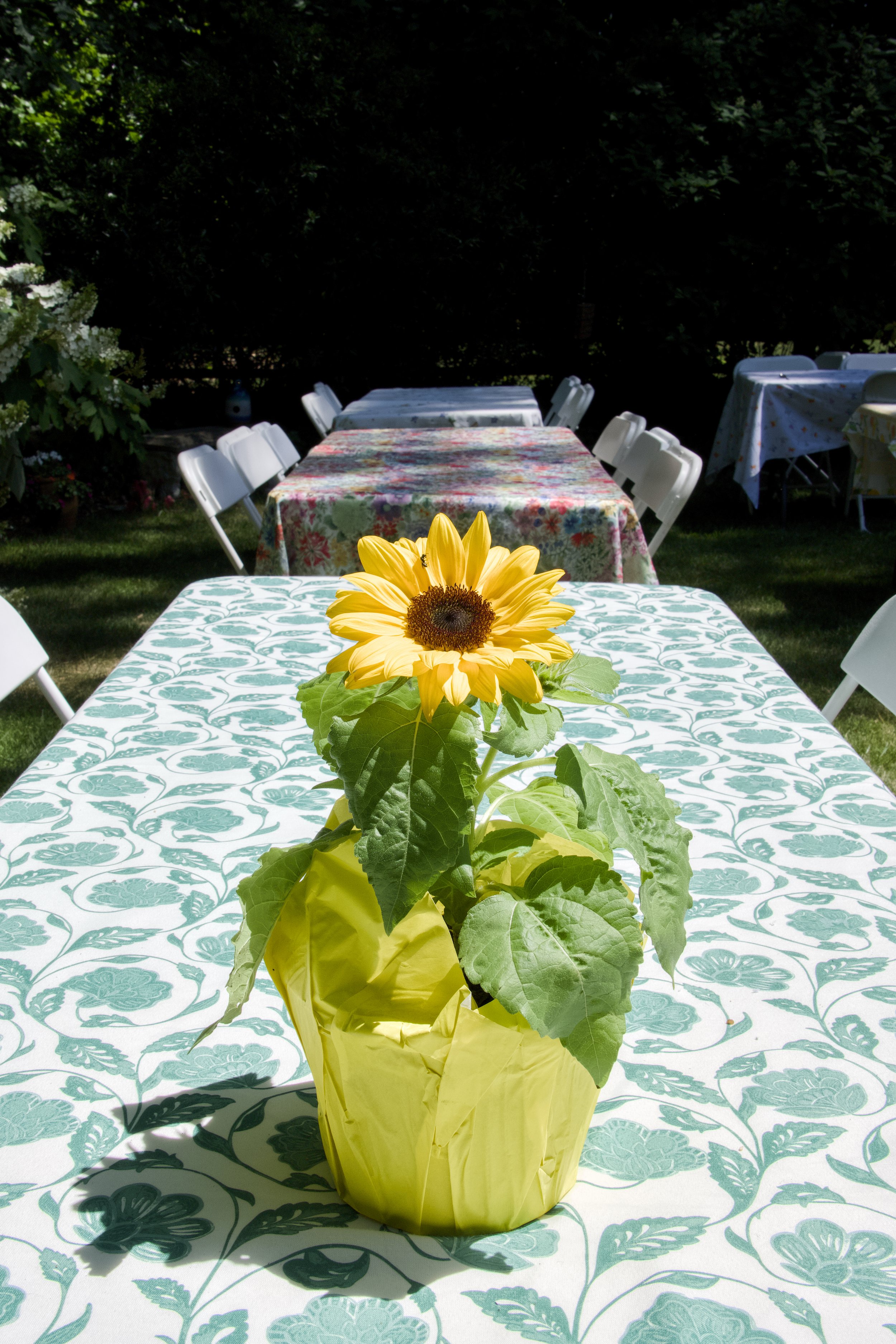 Haddonfield Garden Club 35.jpg