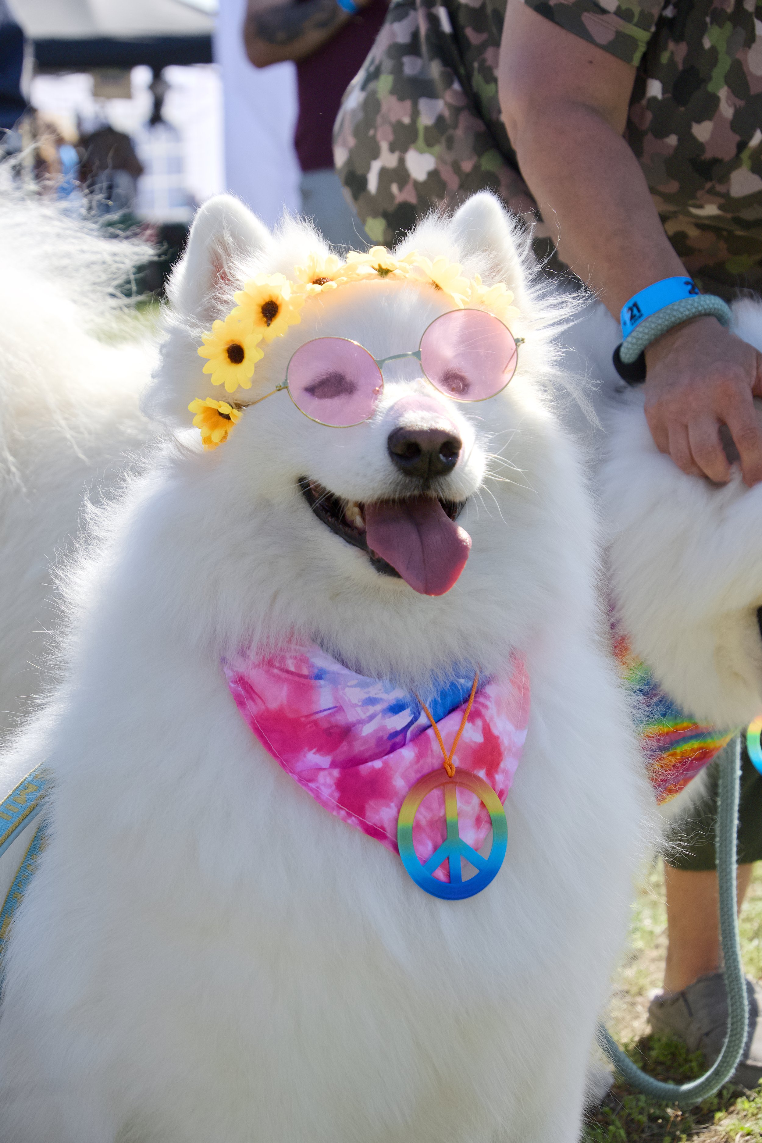 Fur-Baby Festival 36.jpg