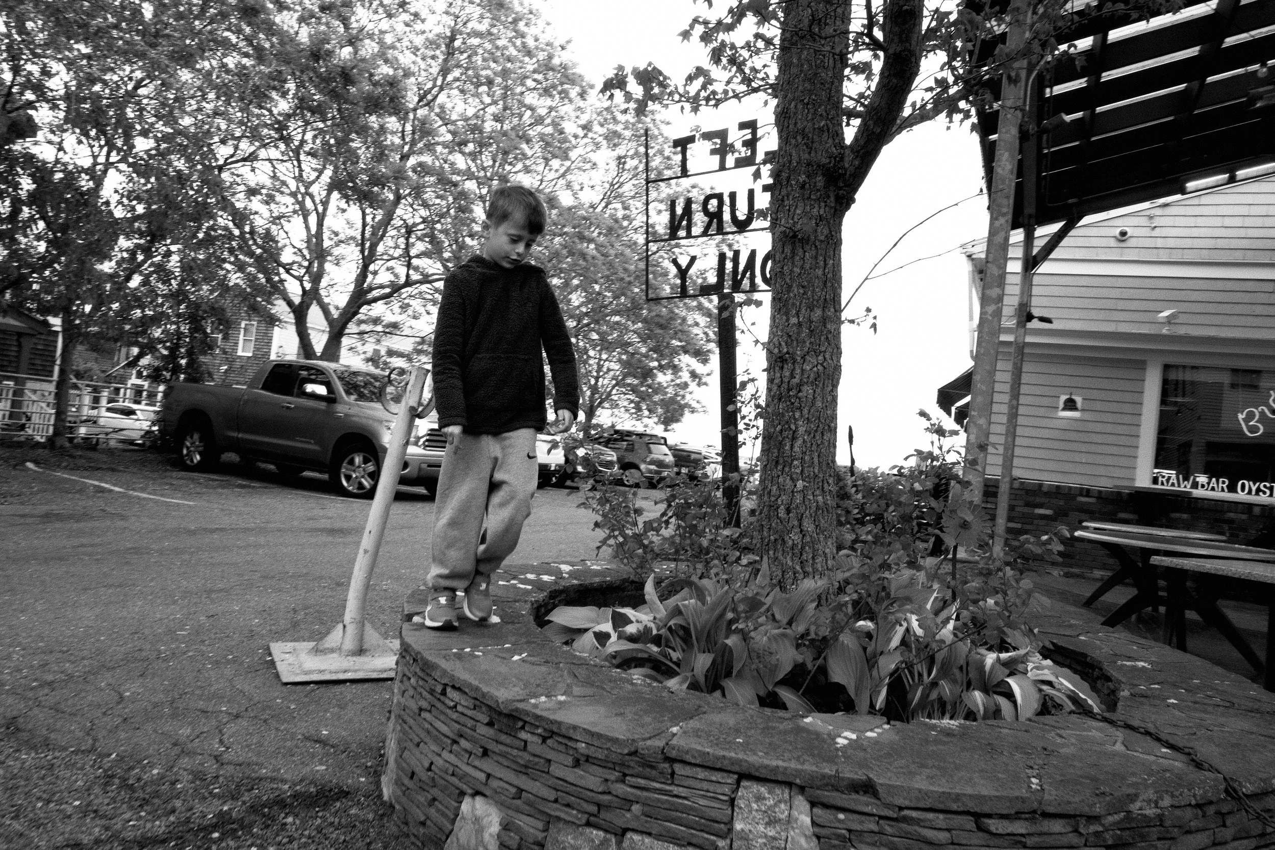 A young boy standing on a small raised brick garden bed, looking down at plants with a tree in front of him, in an outdoor area with parked cars and a building nearby.