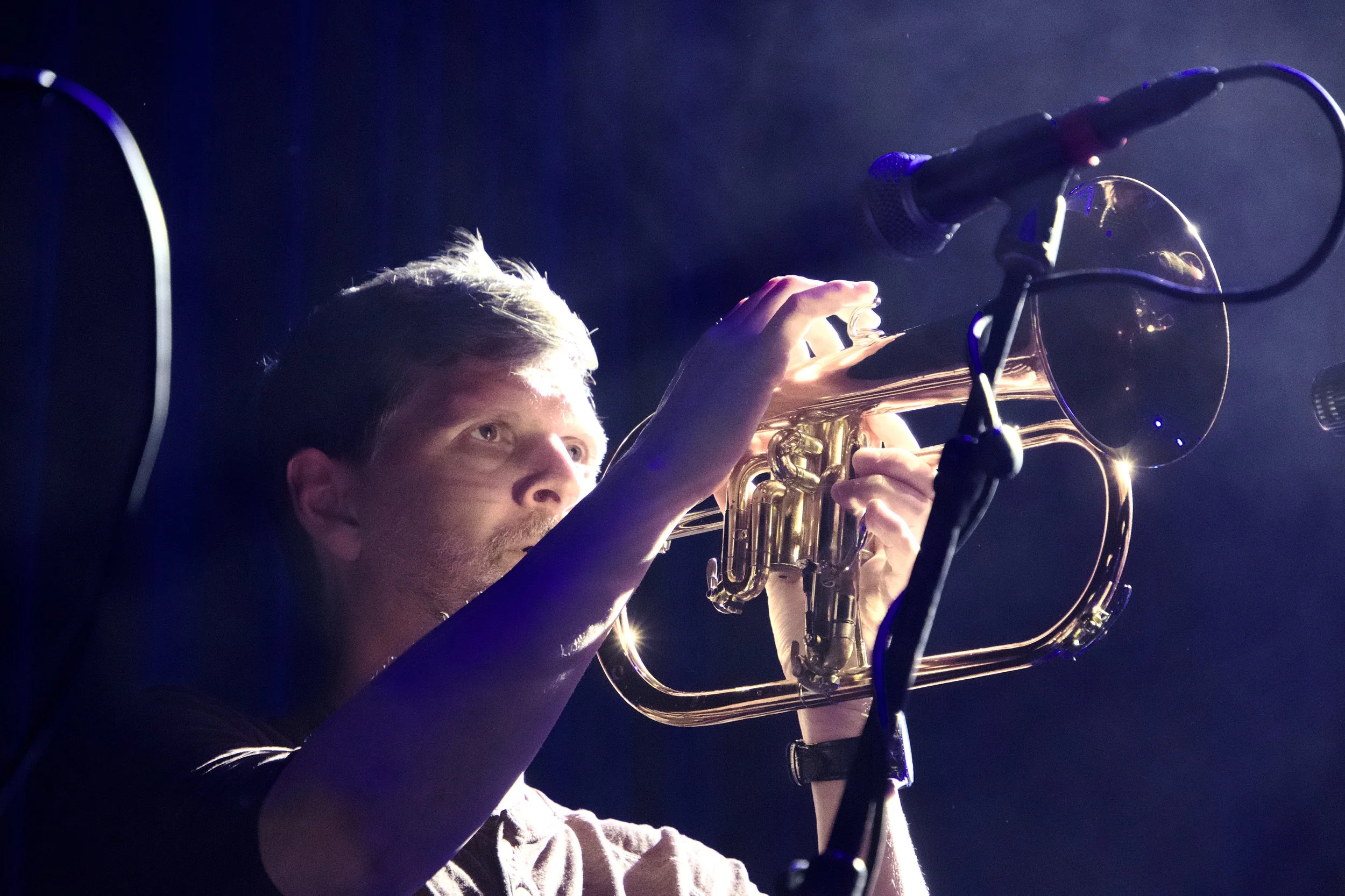 Snarky Puppy 10.jpg
