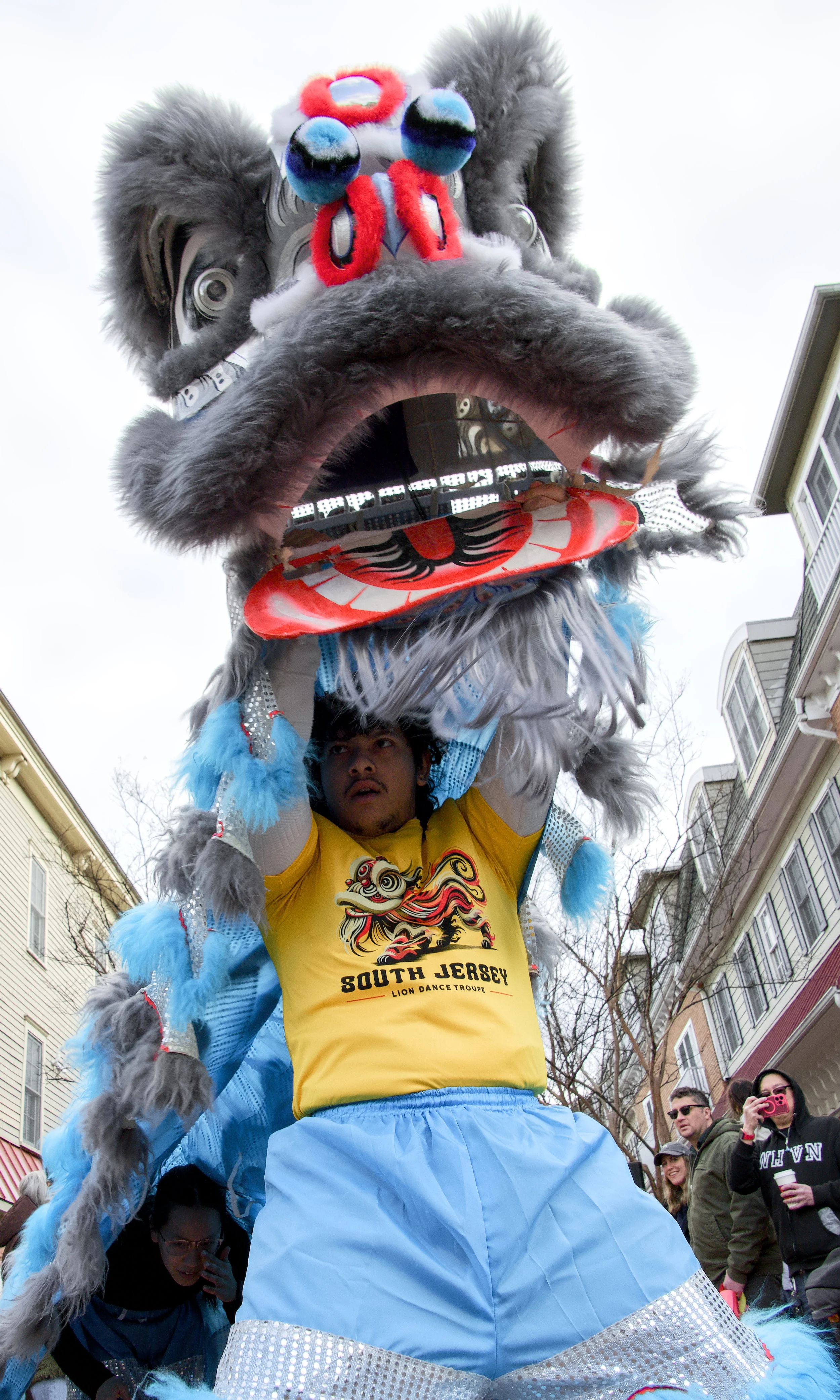 Lunar New Year Celebration 32.jpg