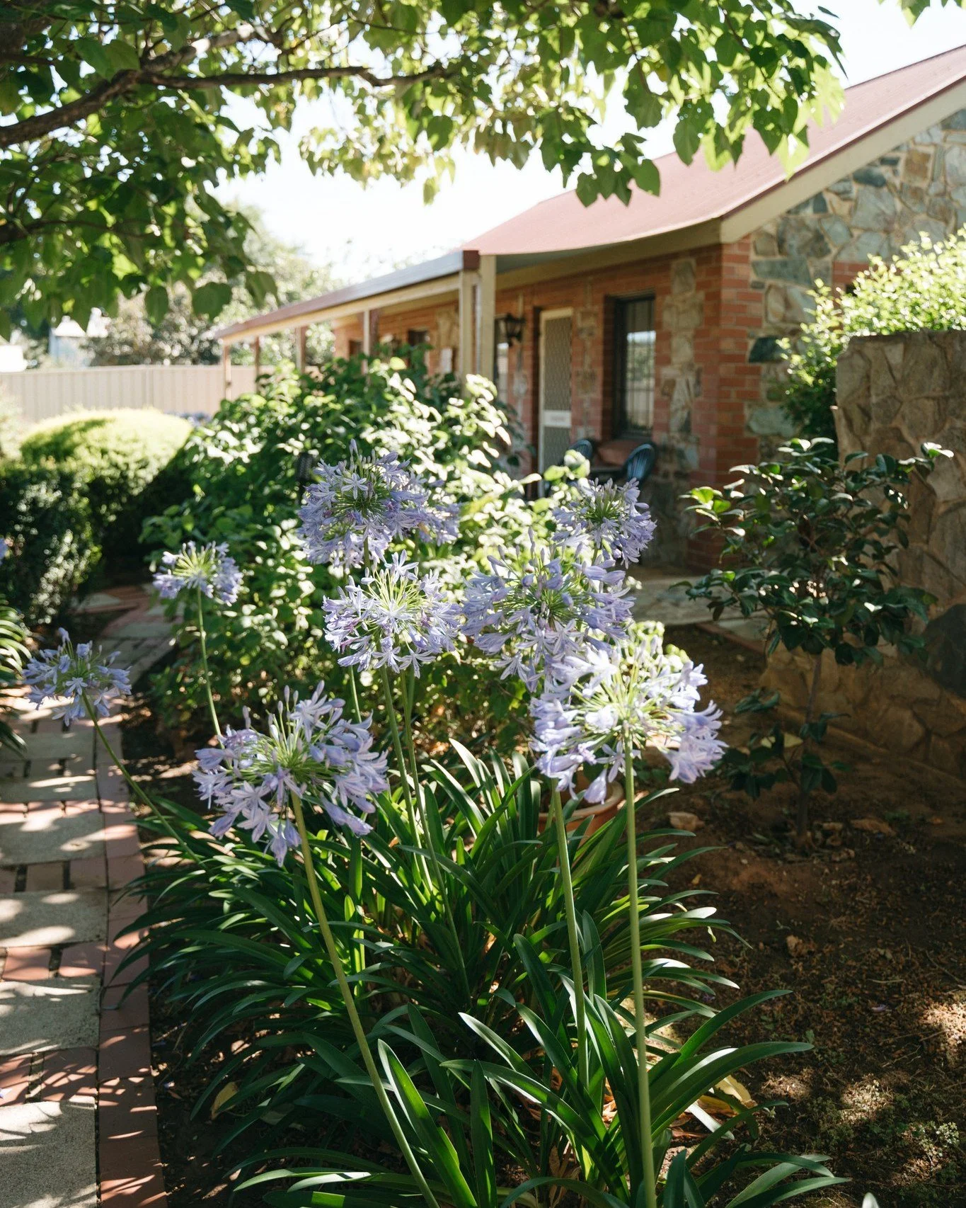 Hello Spring 😍

Our garden is awakening with colour and sunshine-filled days. Come and enjoy a little bit of magic at Langmeil Cottages!

📸 @emilywesthoffphotography 

#LangmeilCottages #BarossaValley #Barossa #BarossaWine #SouthAustralia #SeeSouth