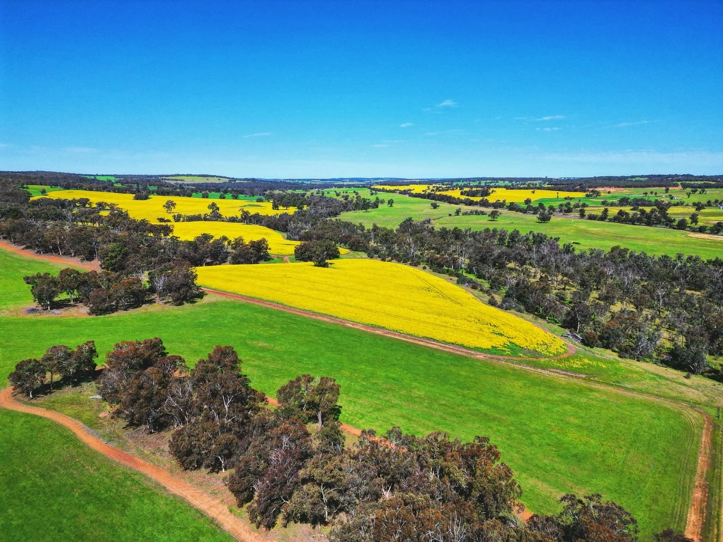 Lovely yellow  fields .
.
.
.
.
#canolafields #exploringperth #droneshots #westernaustralia  #dji