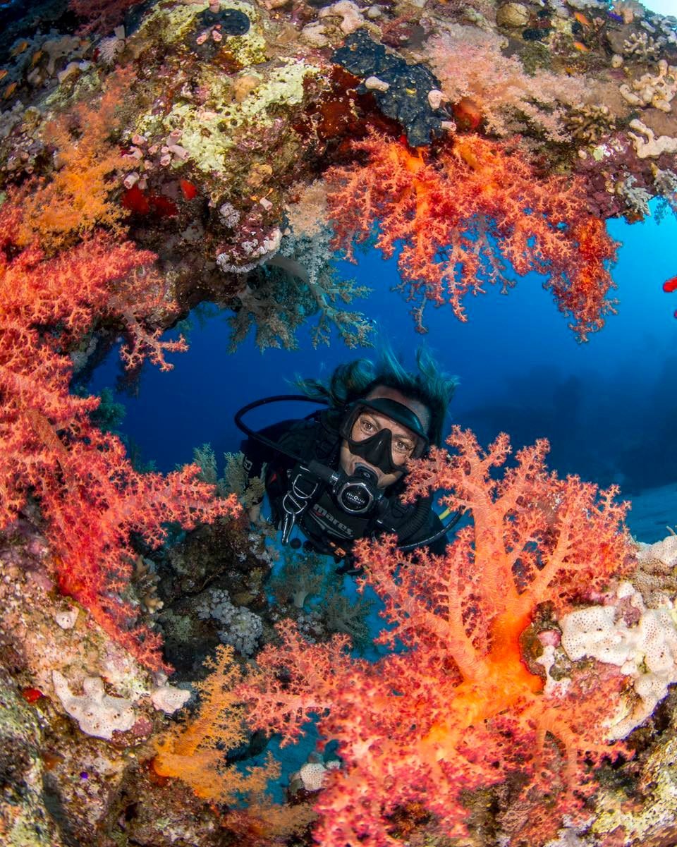 The ocean is calling, and Mission: Ocean Reef is answering. We're on a mission to send 10 passionate individuals to the Dominican Republic for a transformative week-long experience&mdash;learning firsthand about coral reefs, sustainability, and ocean