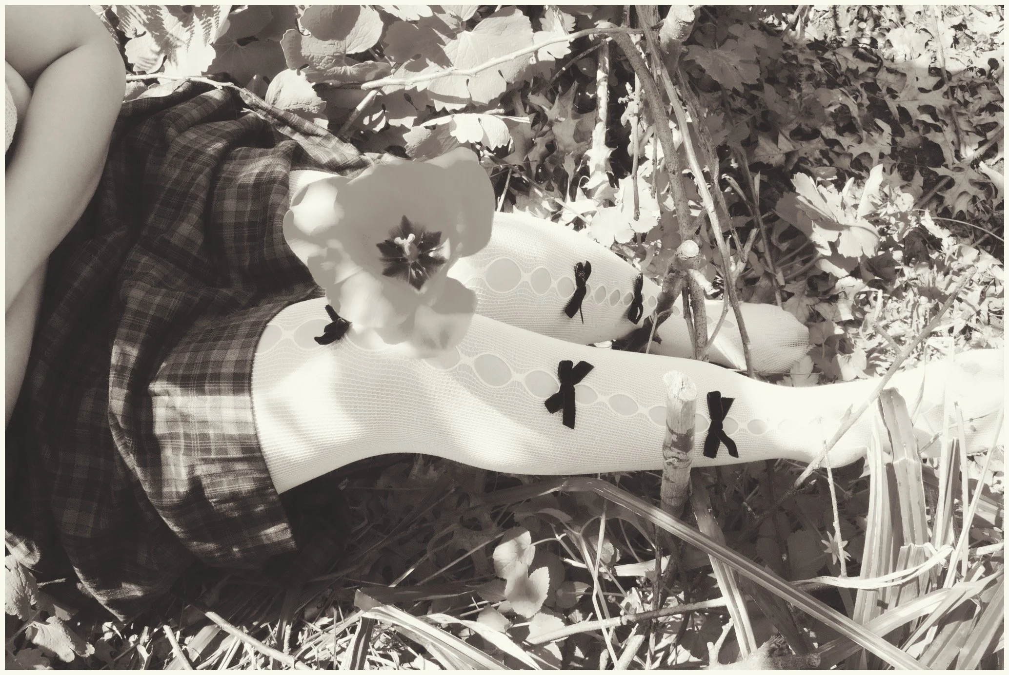 D00E8B80-EF1D-4EDB-97D4-0536C7BCC9D0 2.JPG