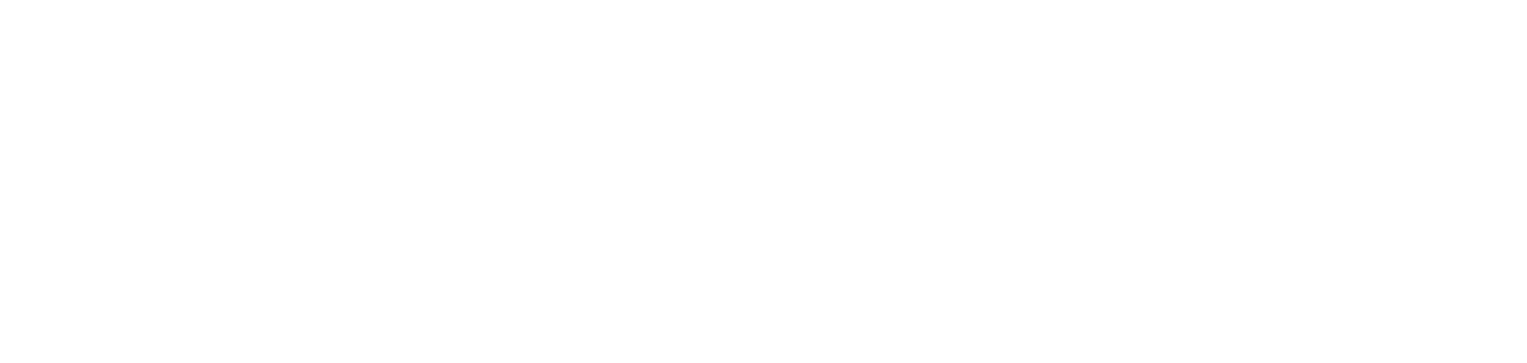 "Bothie" stylized text logo in bold, white letters on a transparent background.