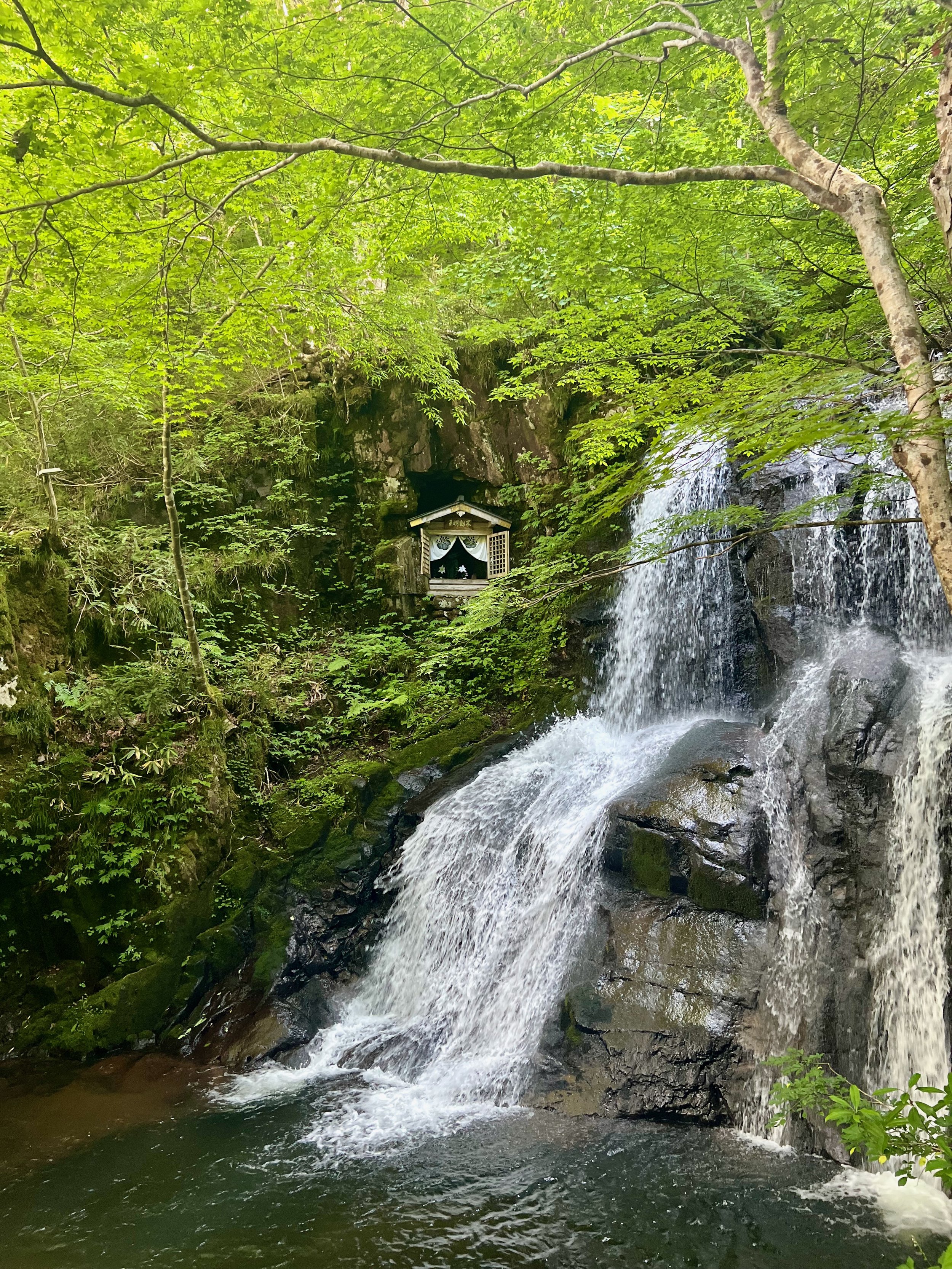 A small waterfall cascading down moss-covered rocks in a lush green forest with a small wooden shrine to the left of the waterfall.