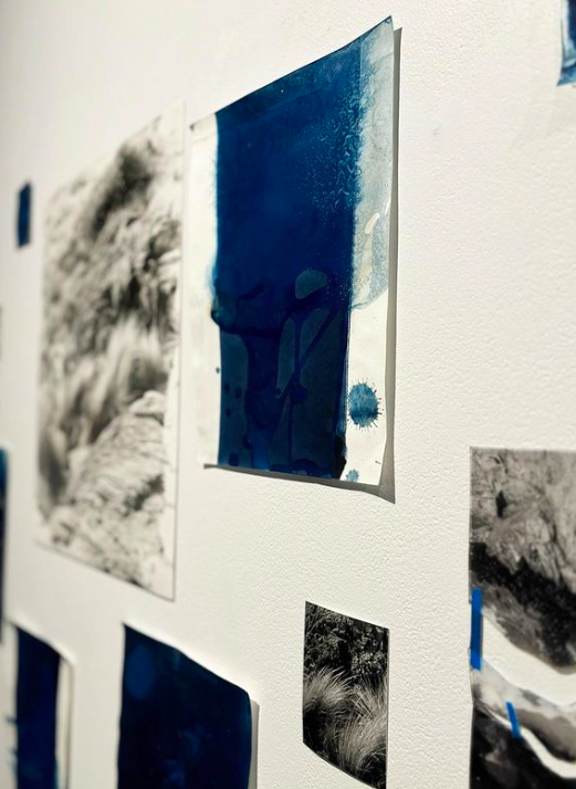 Screen Shot 2024-08-05 at 11.10.34 am.png