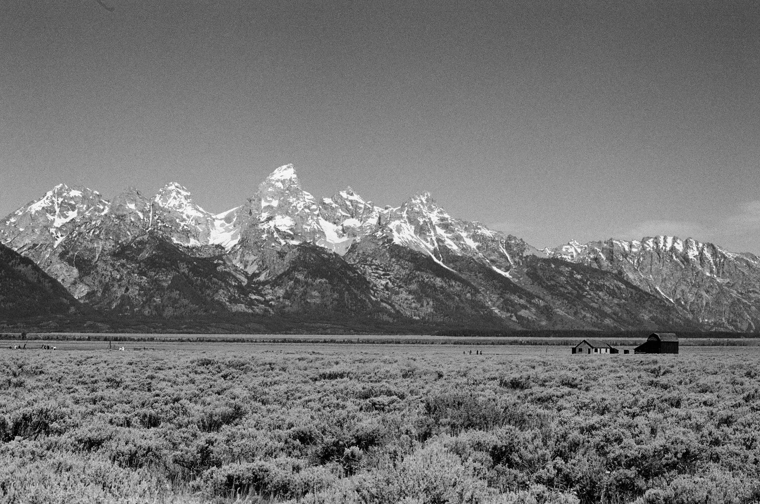 D528FDD5-8F08-4527-9E80-610E44D7DCB0_1_201_a.jpeg