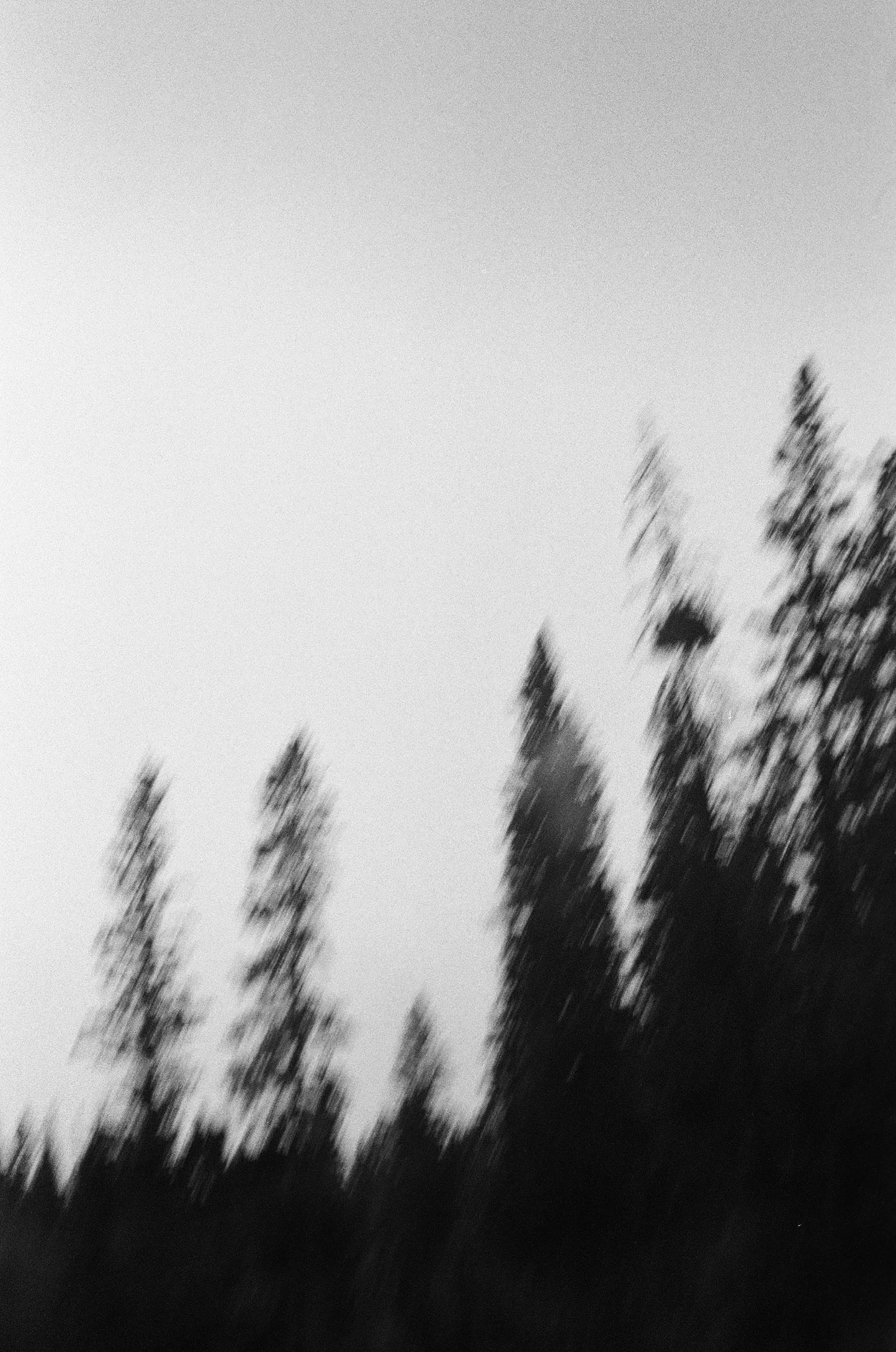 9744F2AE-ABB6-418D-87E5-F0C7DC83D8B6_1_102_a.jpeg