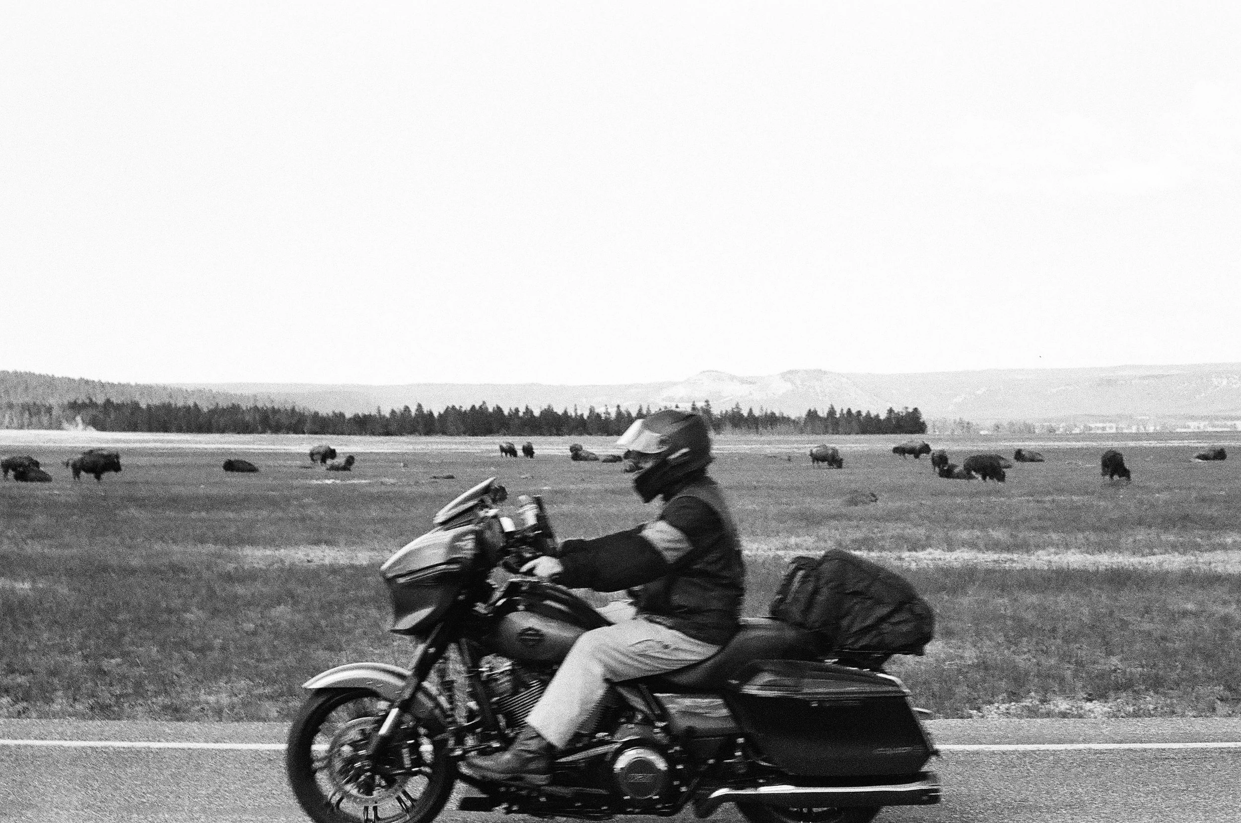 080DB67E-1631-4837-A080-36AD1ABA9992_1_201_a.jpeg