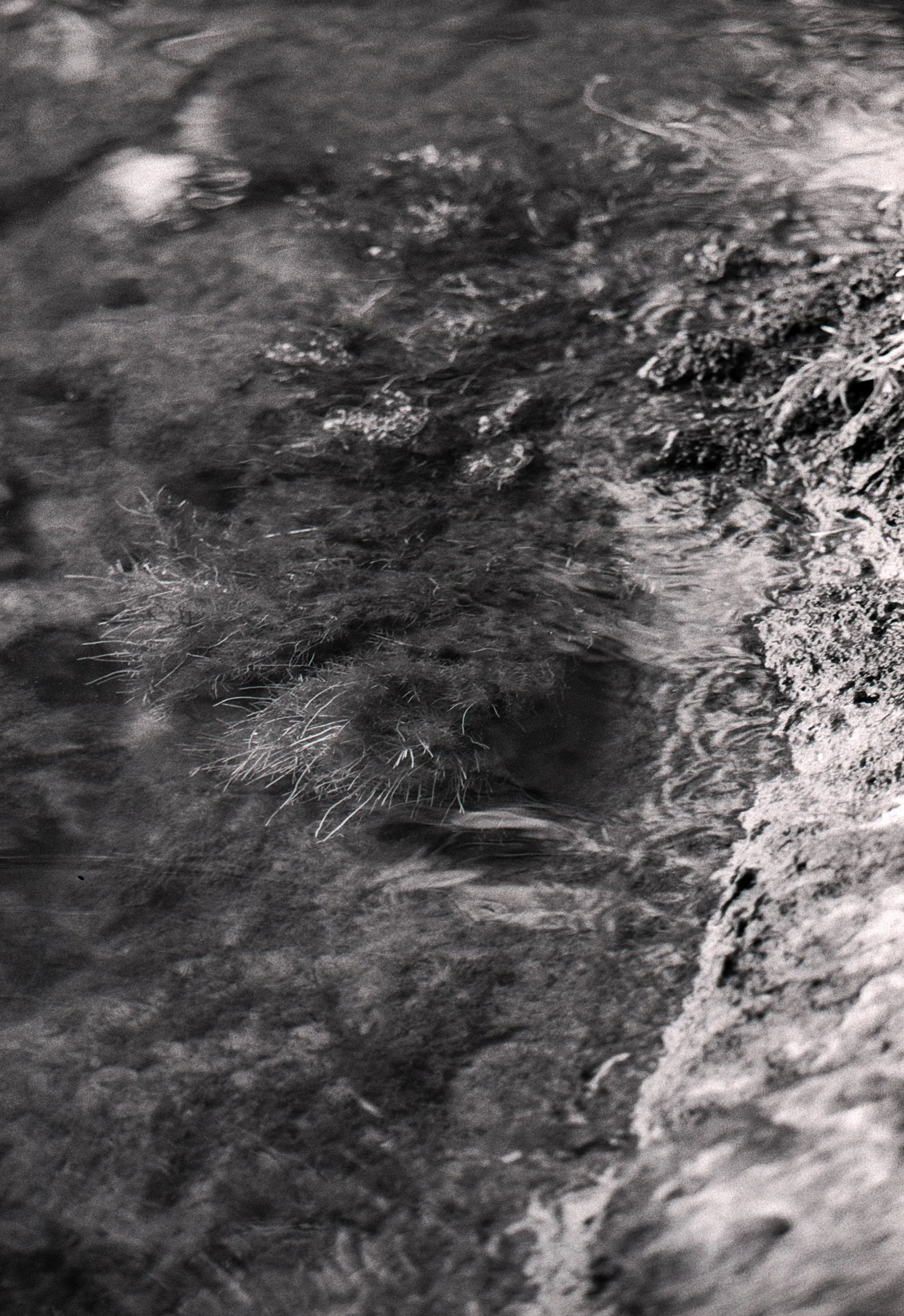 Clayton_SeineSeries_35mm_001-3.JPG