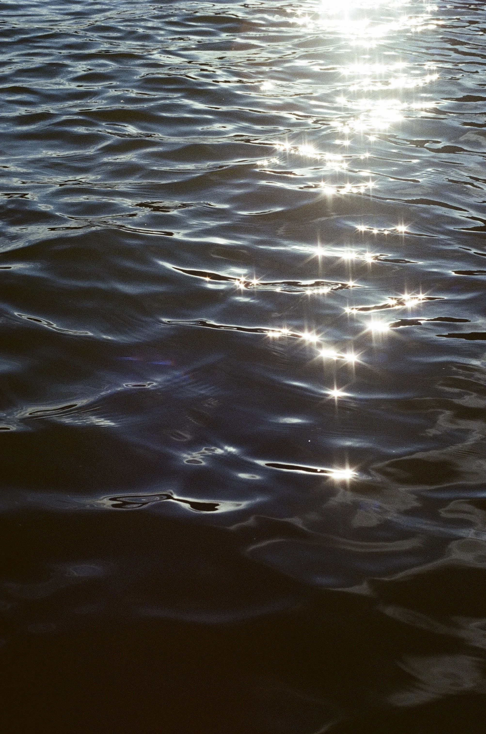02FF8562-F468-4152-921C-173AF9789A94_1_201_a.jpeg