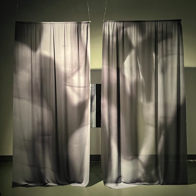 Screen Shot 2024-08-05 at 11.15.29 am.png