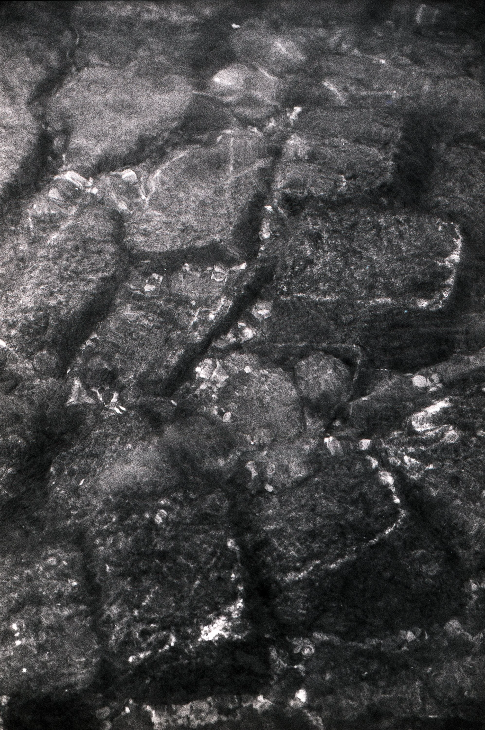 Clayton_SeineSeries_35mm_001-7.JPG