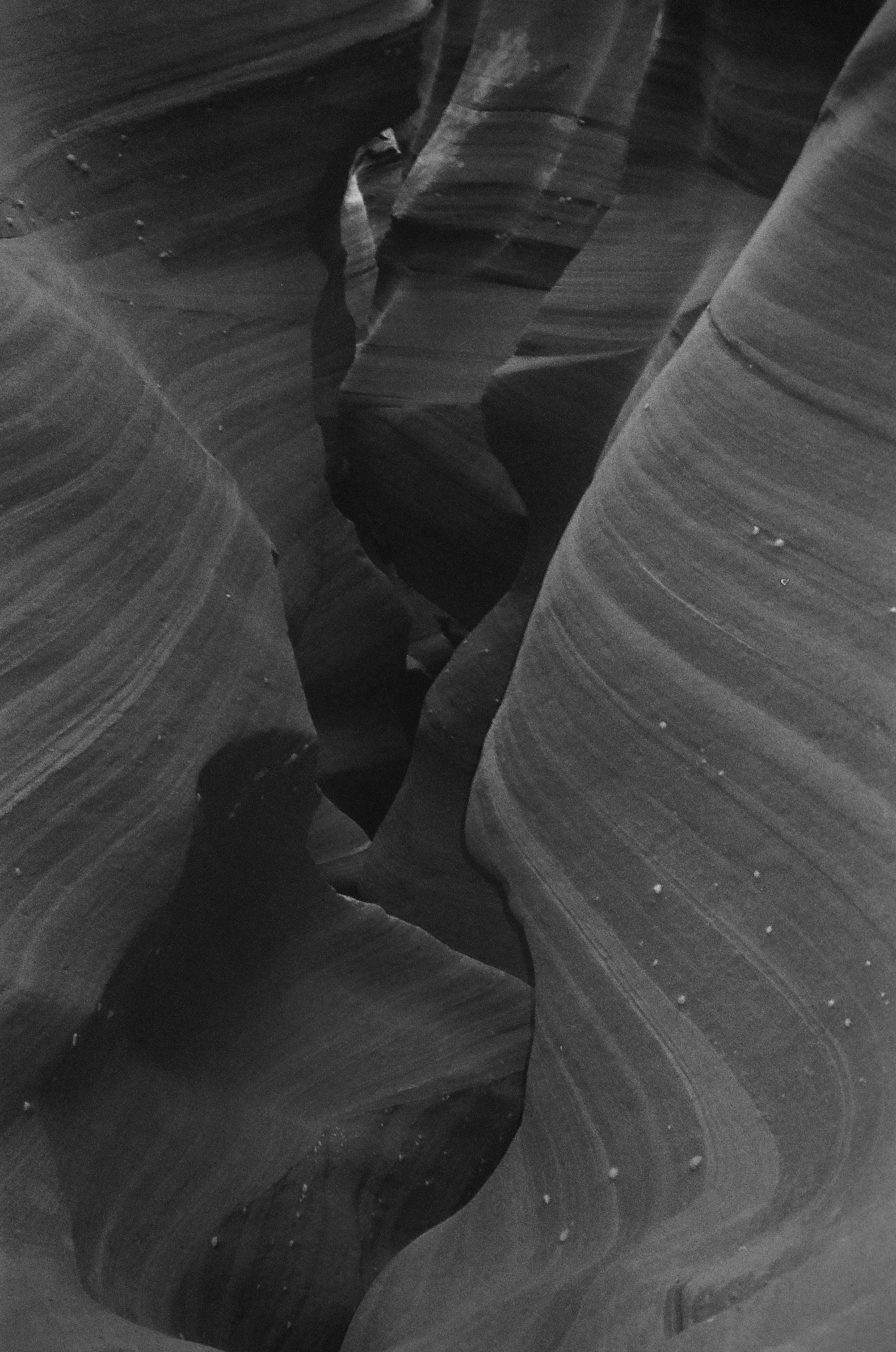 D0063E6C-B3BE-4312-BD61-216B9B0341D9_1_201_a.jpeg