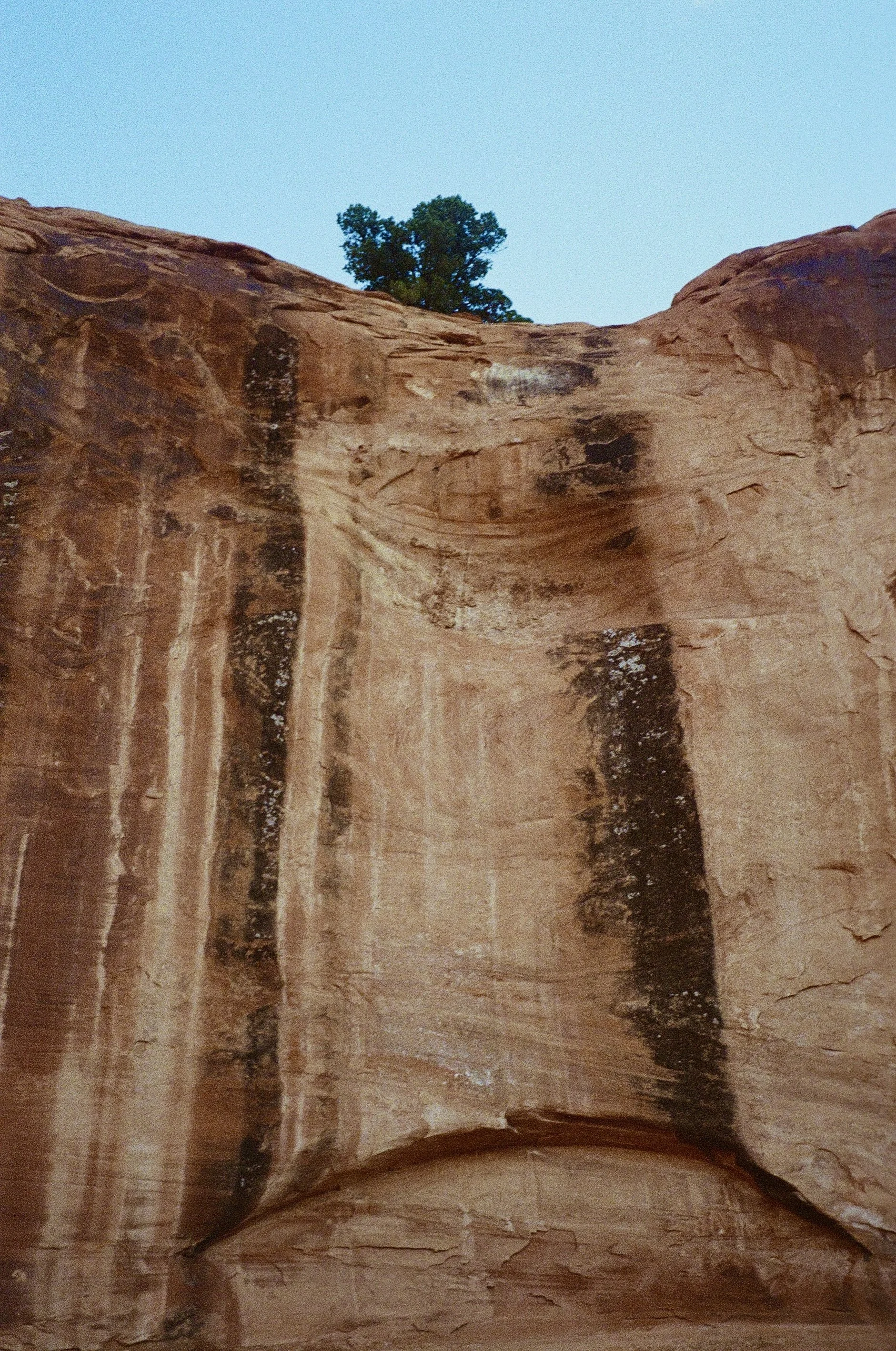 5D03771E-1604-4385-B017-A0FE389F9570_1_201_a.jpeg