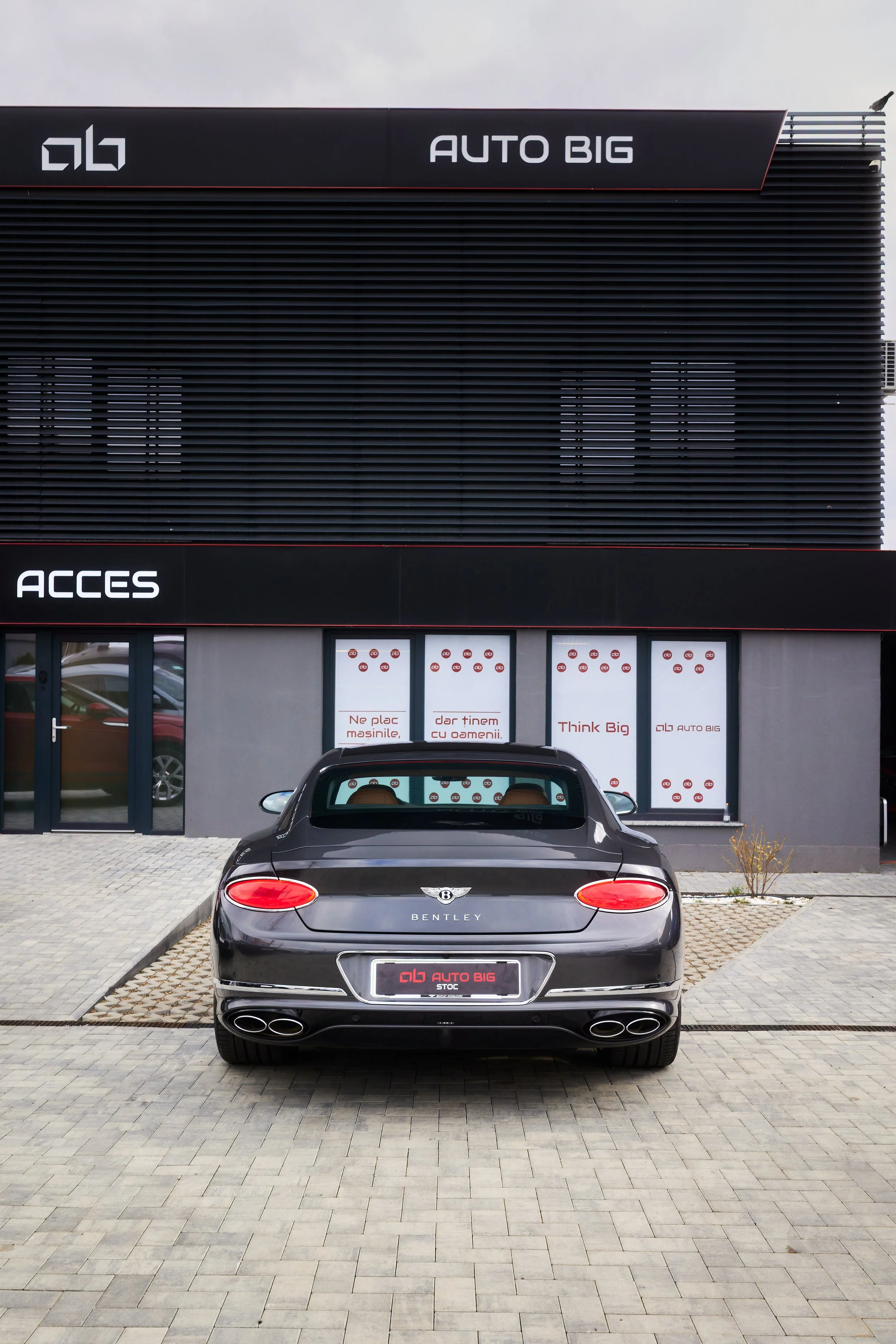 CR6_7007-DxO_DeepPRIME 3.JPG