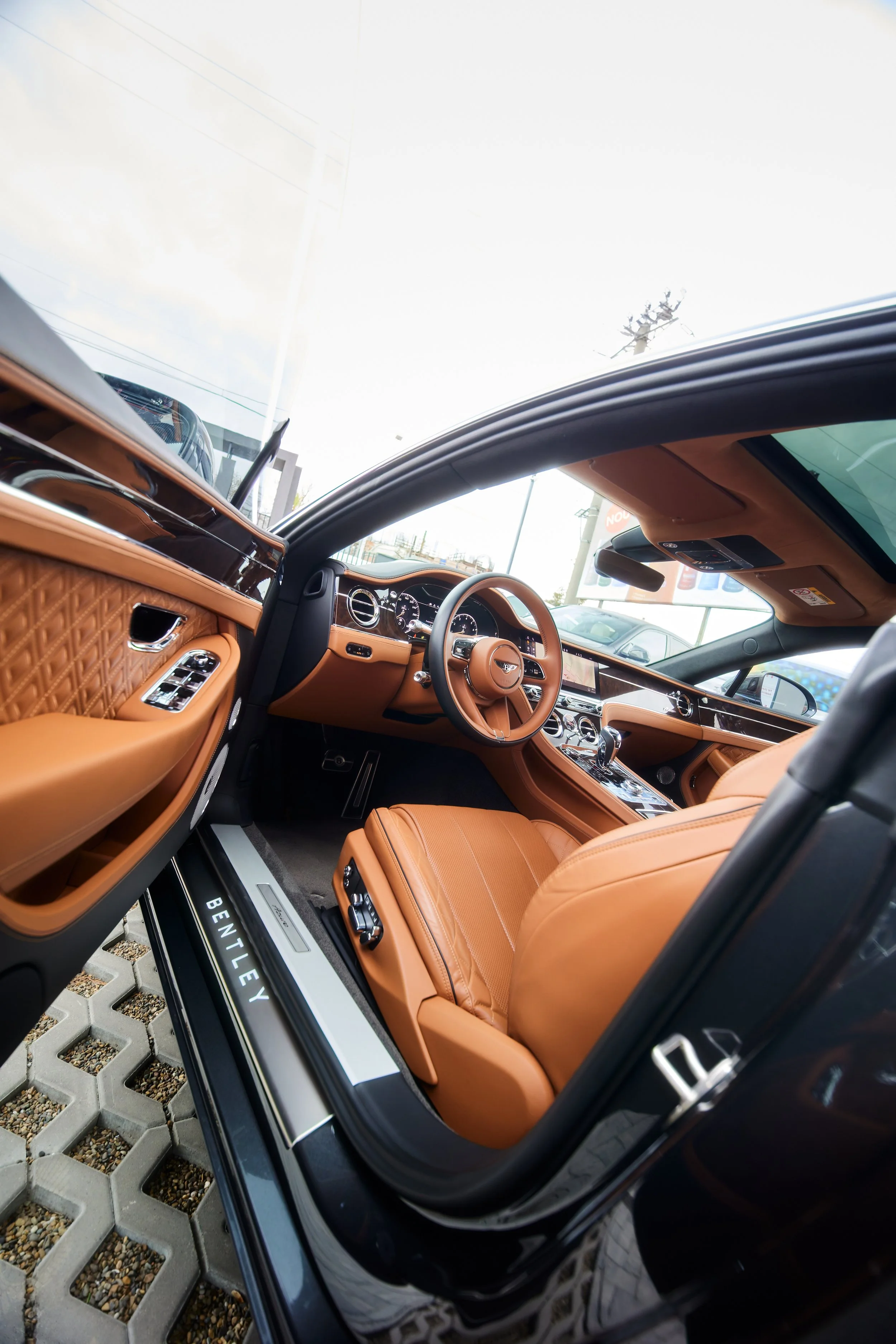 CR6_7269-DxO_DeepPRIME 3.JPG