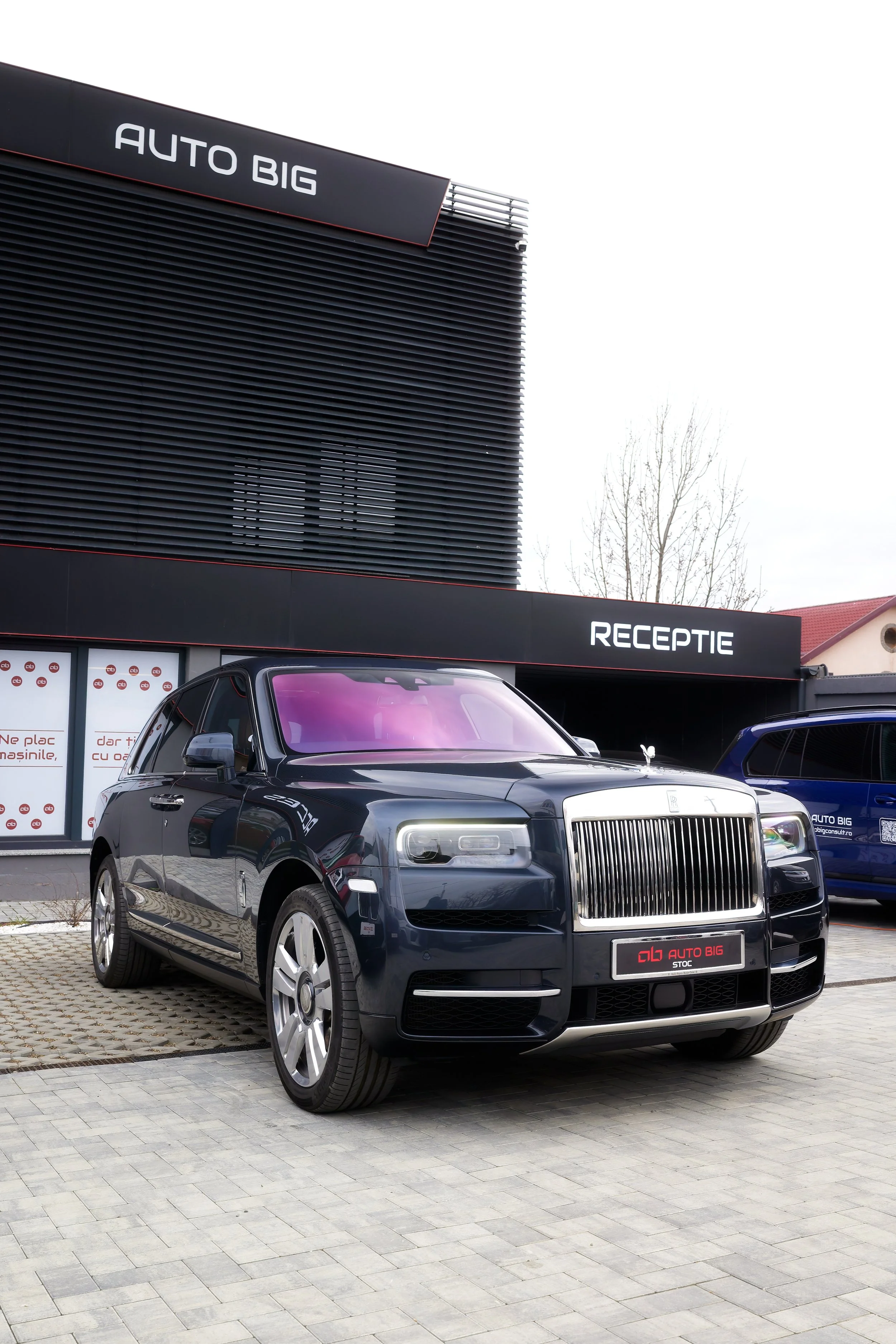 CR6_6872-DxO_DeepPRIME 3.JPG