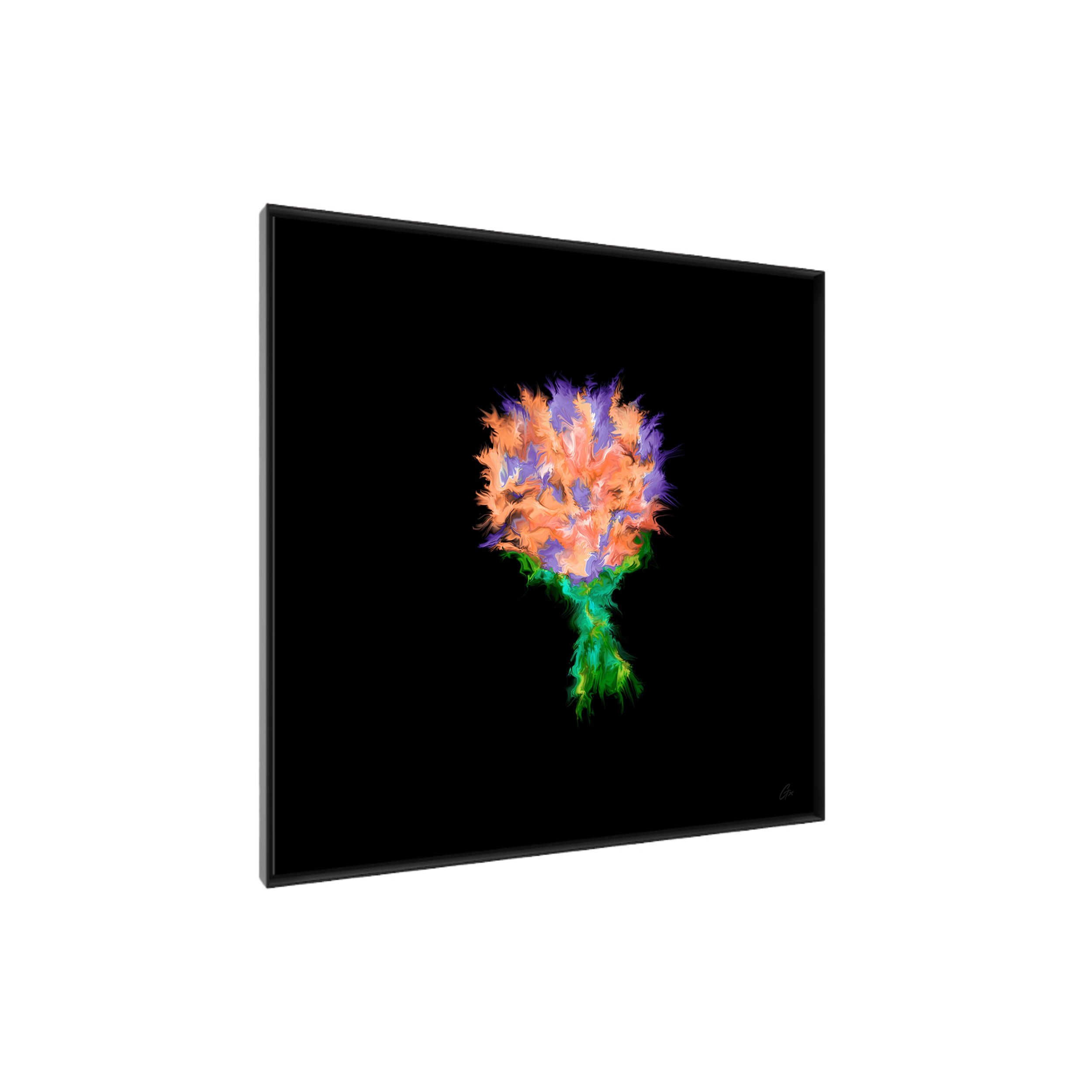 GxO-LPs-C-SQVA-Framed-9.3.jpeg