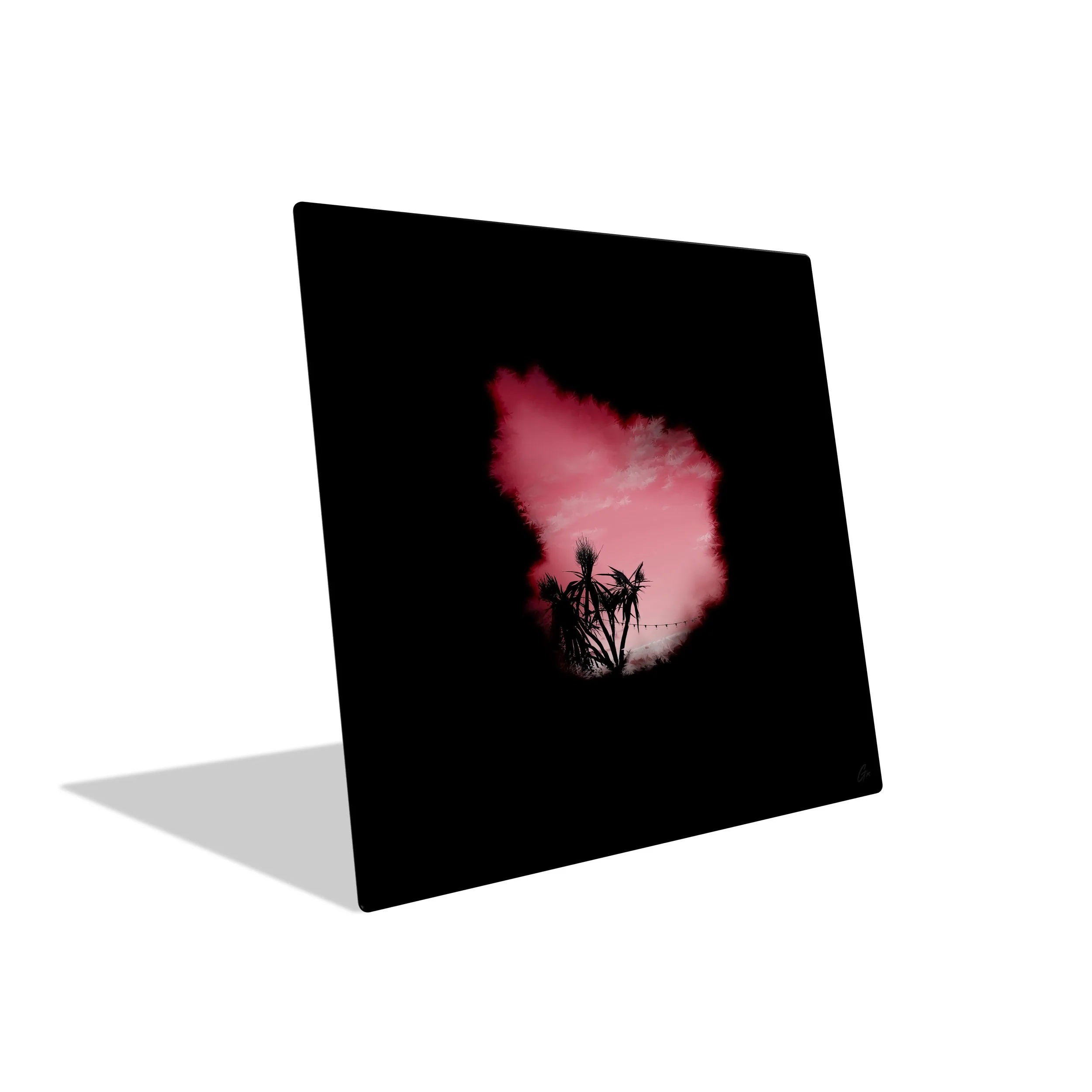 GxO-C-PA-LPs-14.jpeg (Copy)