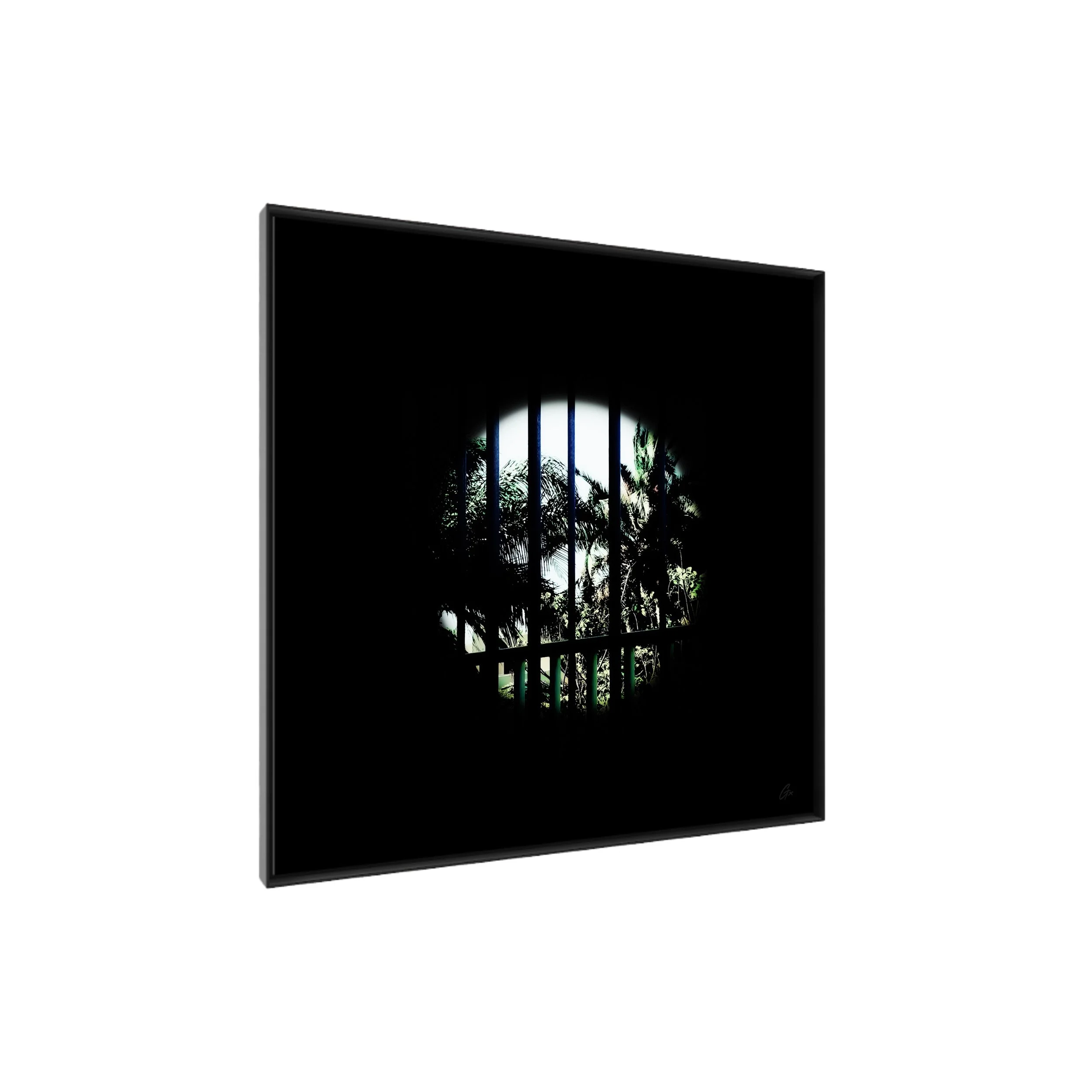 GxO-C-PA-S2-SP-No.5-LPs-Framed .jpg