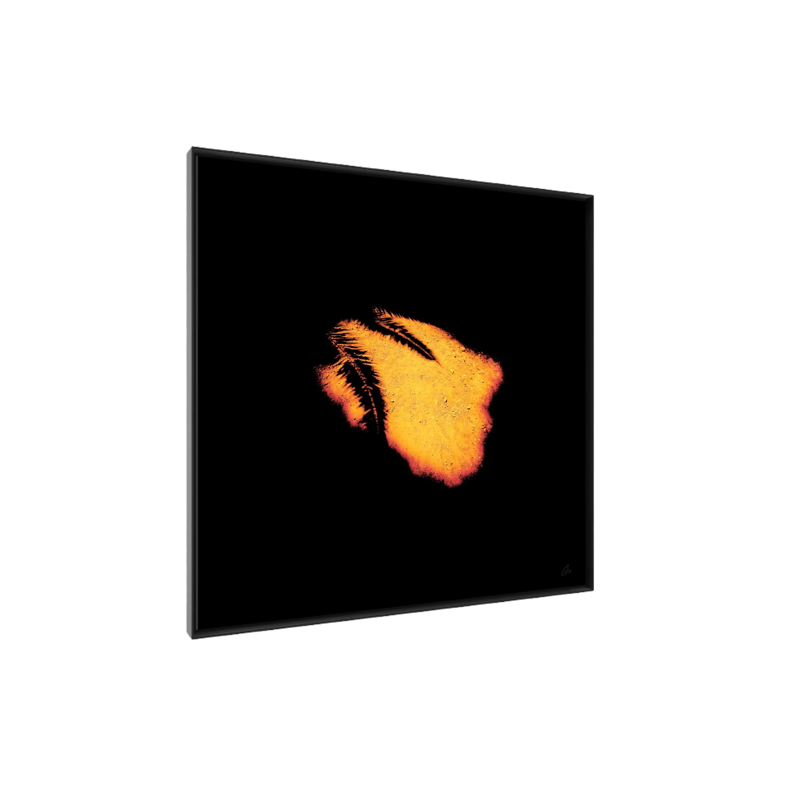 GxO-C-PA-LPs-Framed-15.jpeg (Copy)