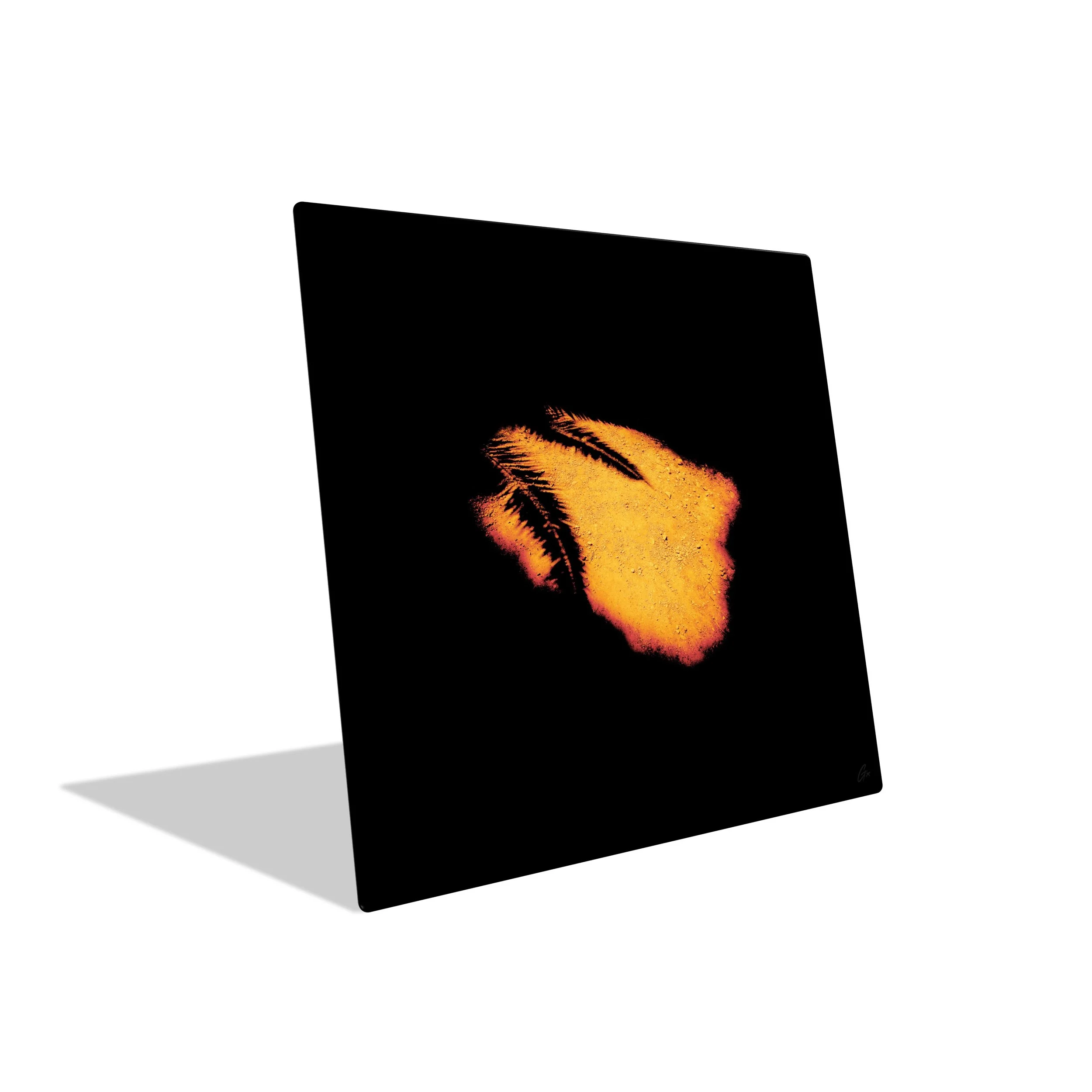 GxO-C-PA-LPs-15.jpeg (Copy)