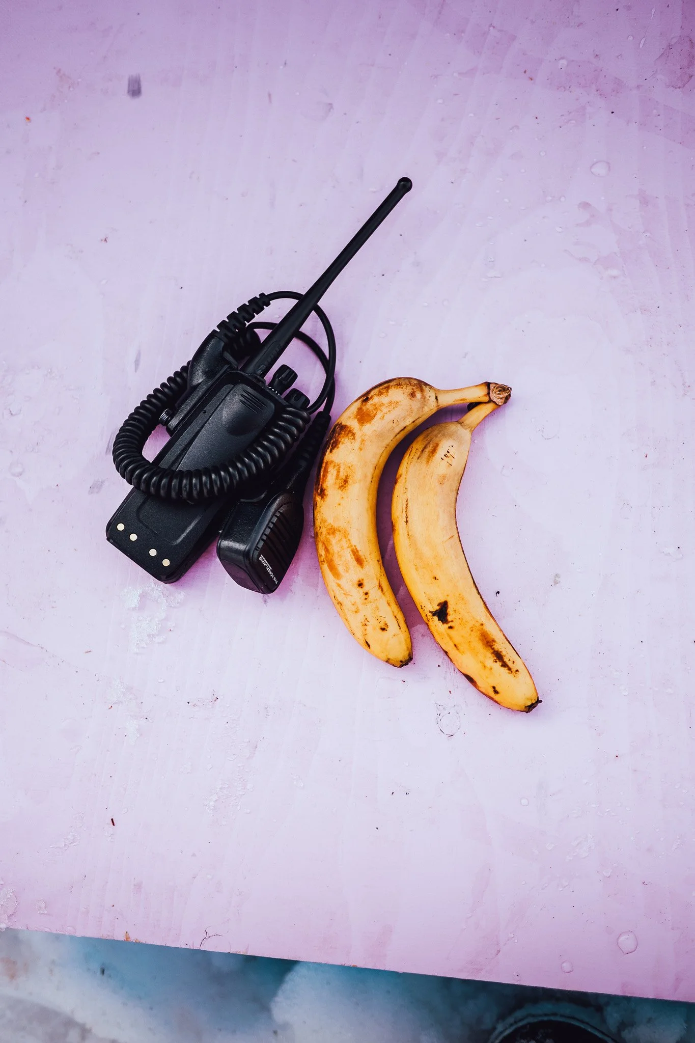 6G9A3650-2.jpg