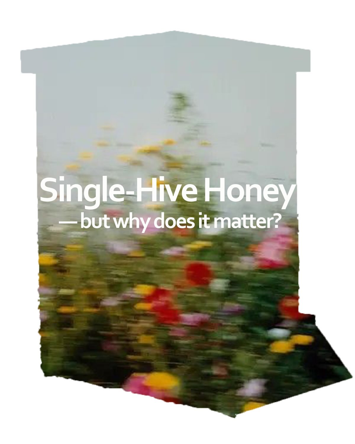 Ever wonder why our honey tastes different jar to jar? 🍯
It&rsquo;s not inconsistency, it&rsquo;s the point.
Each of our hives forages its own territory, and the bees&rsquo; famous waggle dance means every colony ends up with its own &ldquo;map&rdqu