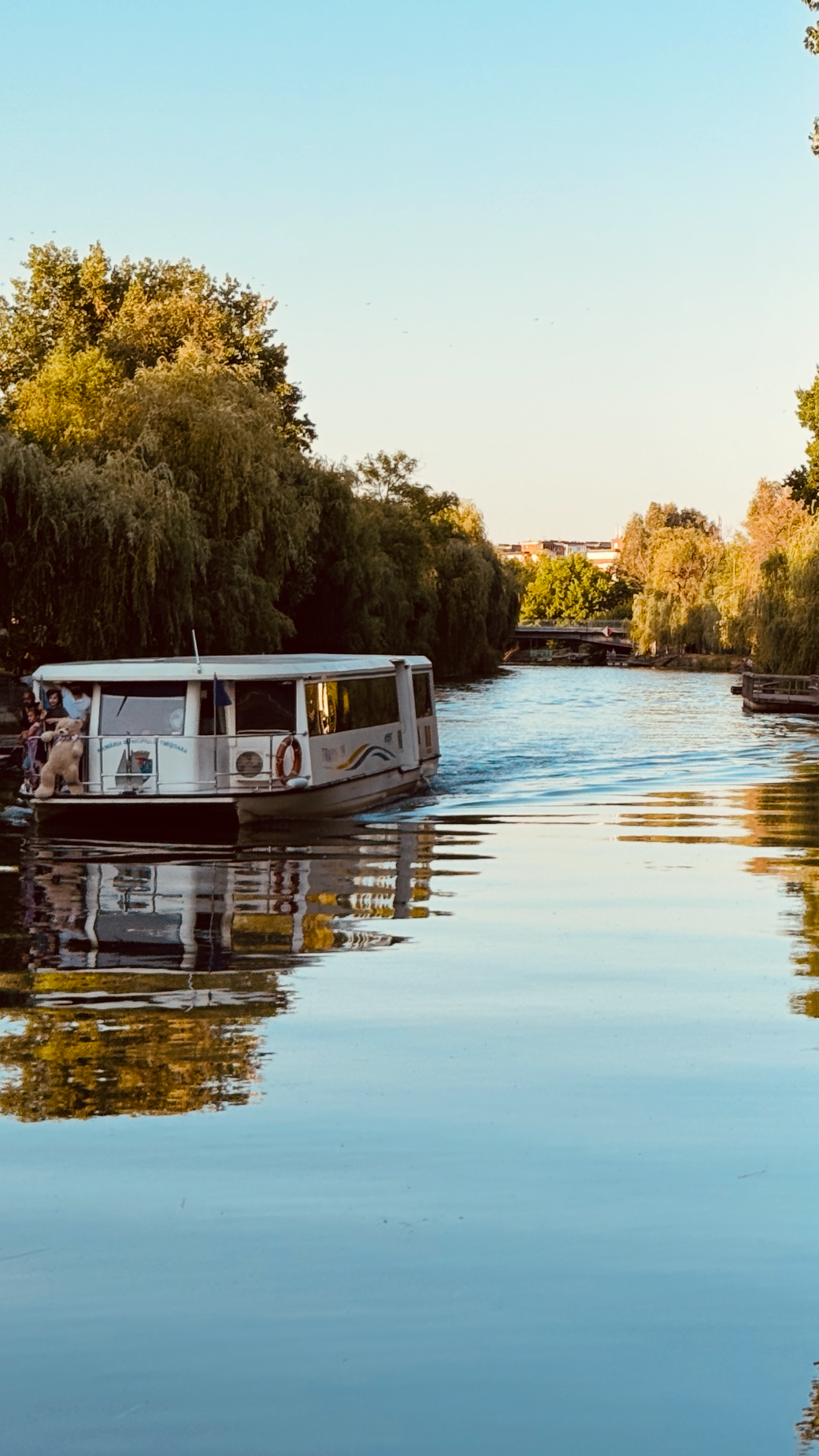 A boat sailing on a calm river with trees on both sides and clear sky overhead.