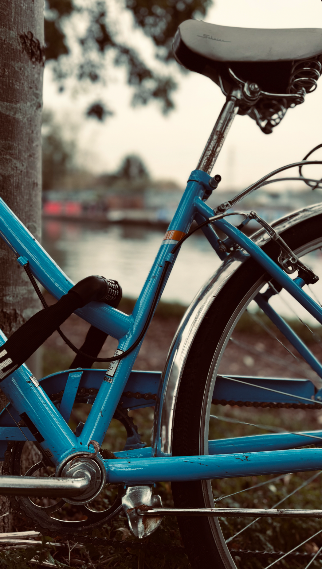 A blue bicycle leaning against a tree near a body of water with blurred trees and boats in the background.