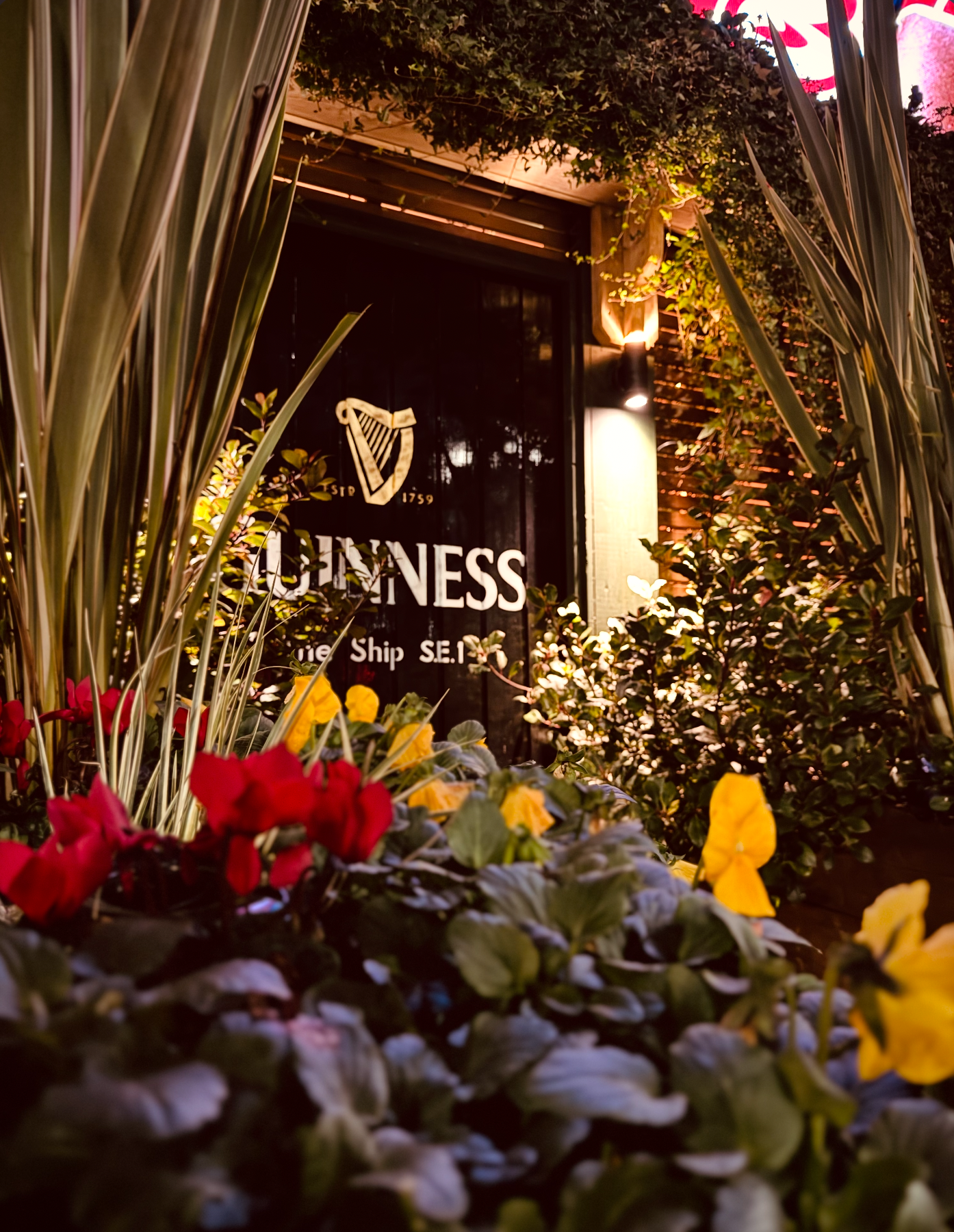 Nighttime view of a pub's entrance, with potted flowers and greenery in the foreground; a black Guinness sign with the harp logo and text is visible in the background.
