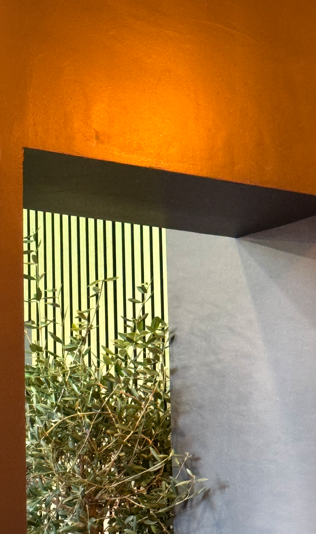 View of an outdoor area with a green leafy bush, a yellow slatted fence, a gray wall, and an orange ceiling or roof overhang.