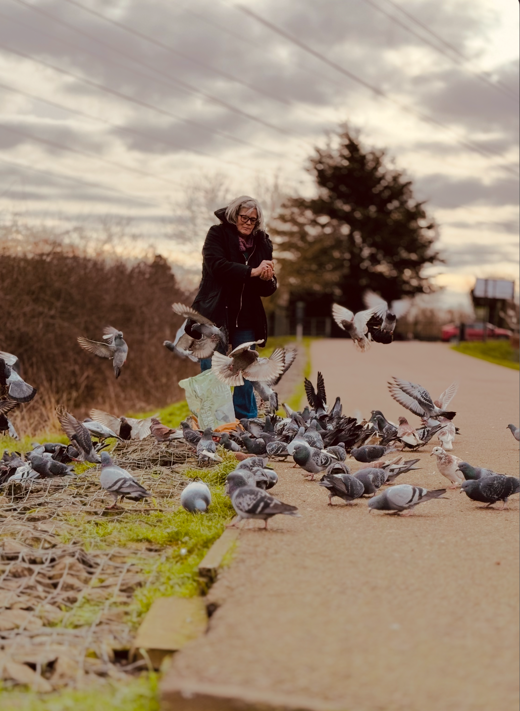 An elderly woman in a black coat stands on a sidewalk, feeding pigeons that gather around her and fly around her feet. A sack of bird food is visible nearby, and a tree is in the background during a cloudy late afternoon.