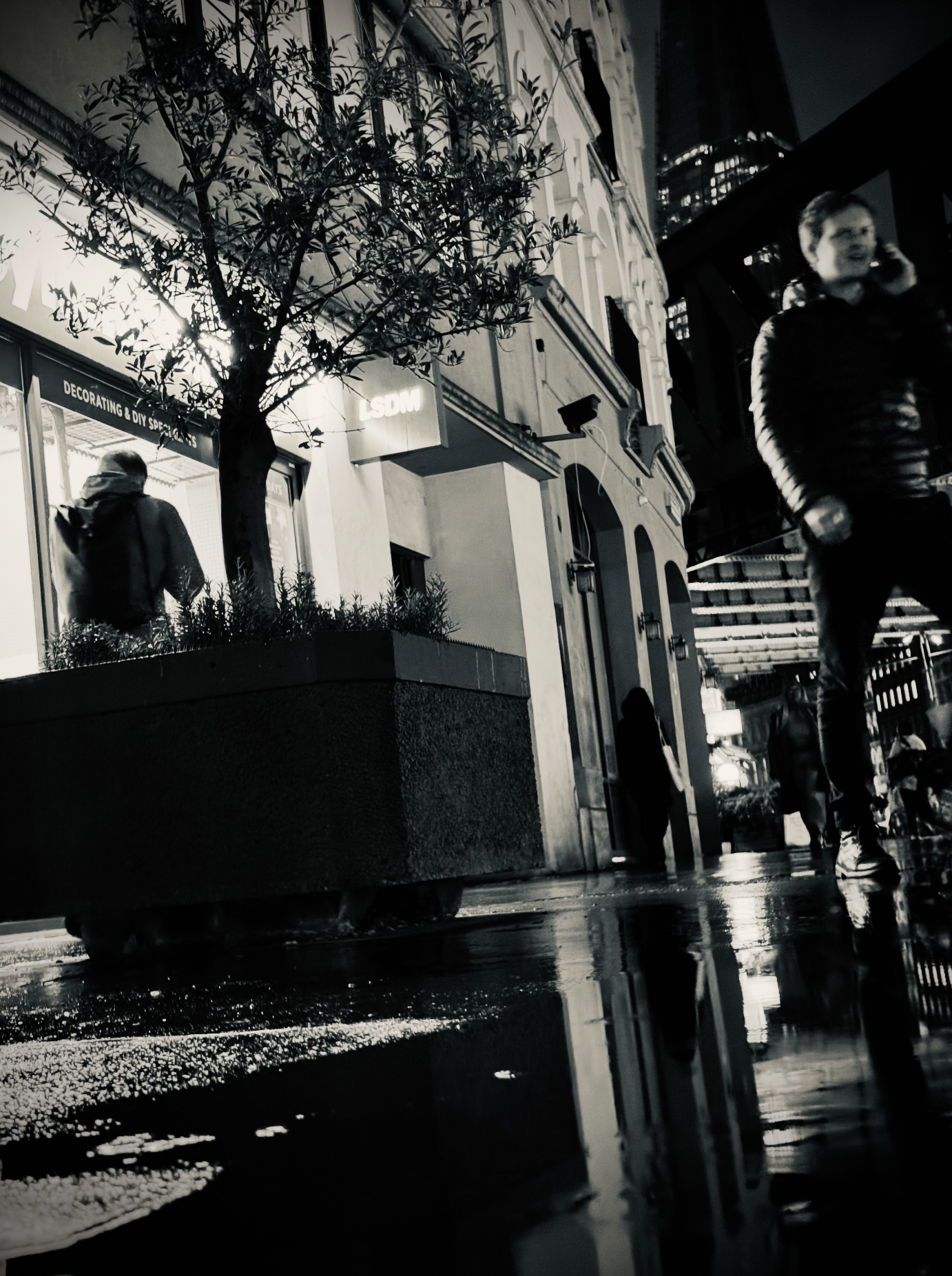 Nighttime city street scene in black and white, with pedestrians walking past storefronts and a tree in a large planter. Reflection of the street on the wet pavement.