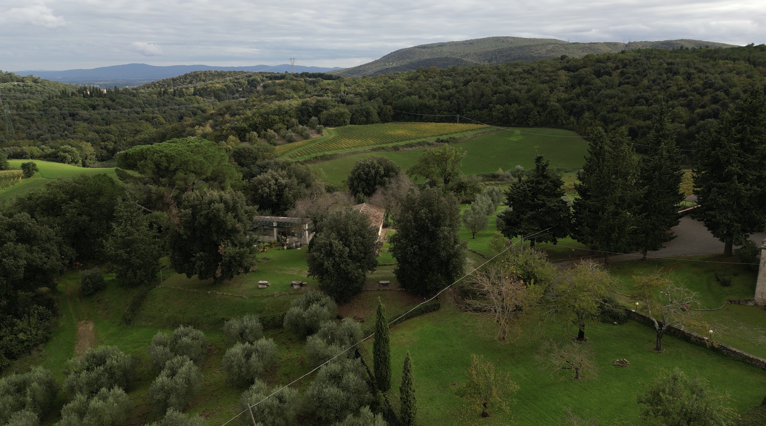 A scenic landscape of rolling green hills with vineyards, scattered trees, and a small house amidst the greenery under an overcast sky.