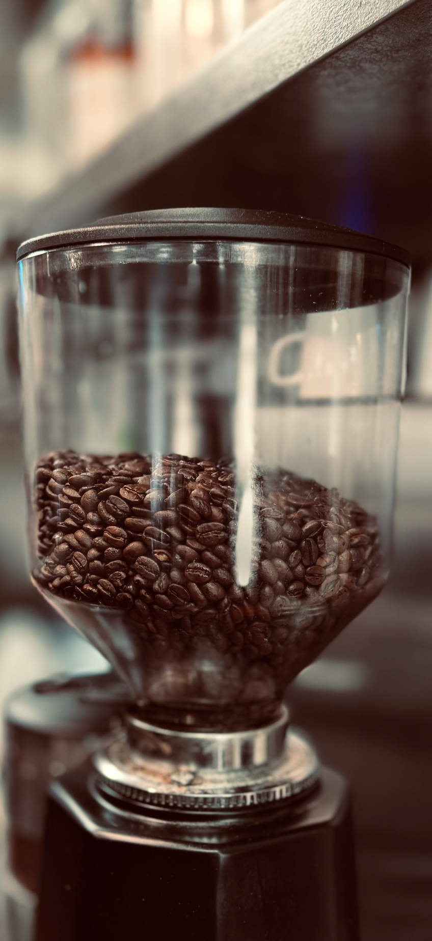 Close-up of a clear coffee grinder filled with dark roasted coffee beans, with a black lid on top.