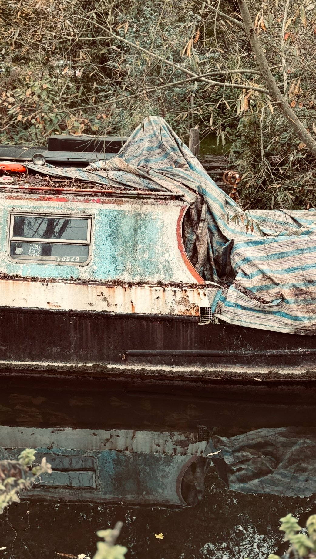 Old, rusty boat covered with a tarp near a water body, surrounded by overgrown bushes.