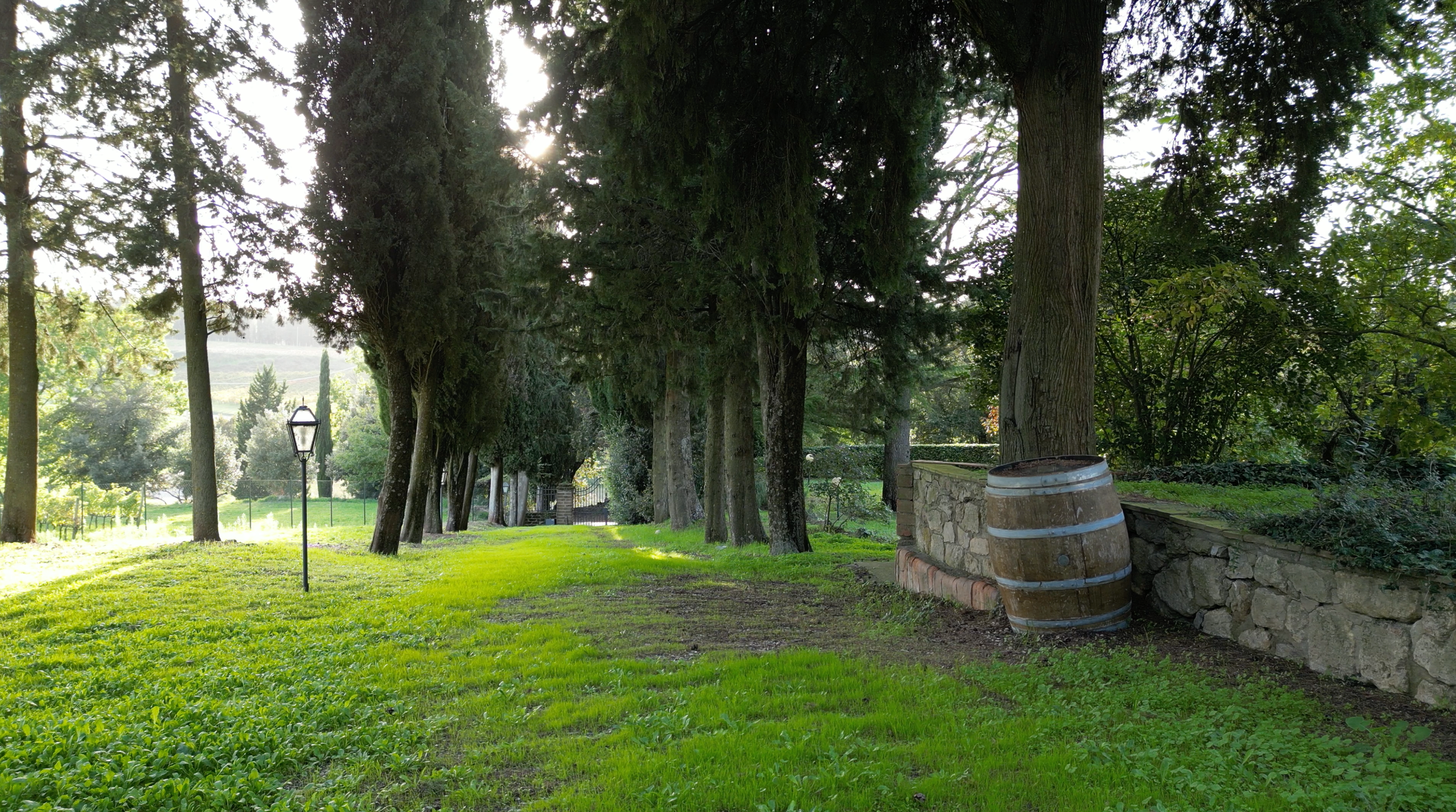 A scenic outdoor pathway lined with tall trees on the left and a low stone wall with a wooden barrel on the right. A vintage-style street lamp is along the path. Sunlight filters through the trees, creating a peaceful, natural atmosphere.