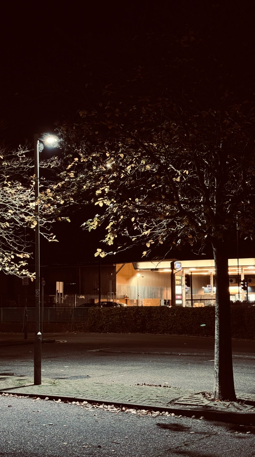 Empty parking lot at night with a tree, streetlamp, and a gas station in the background.