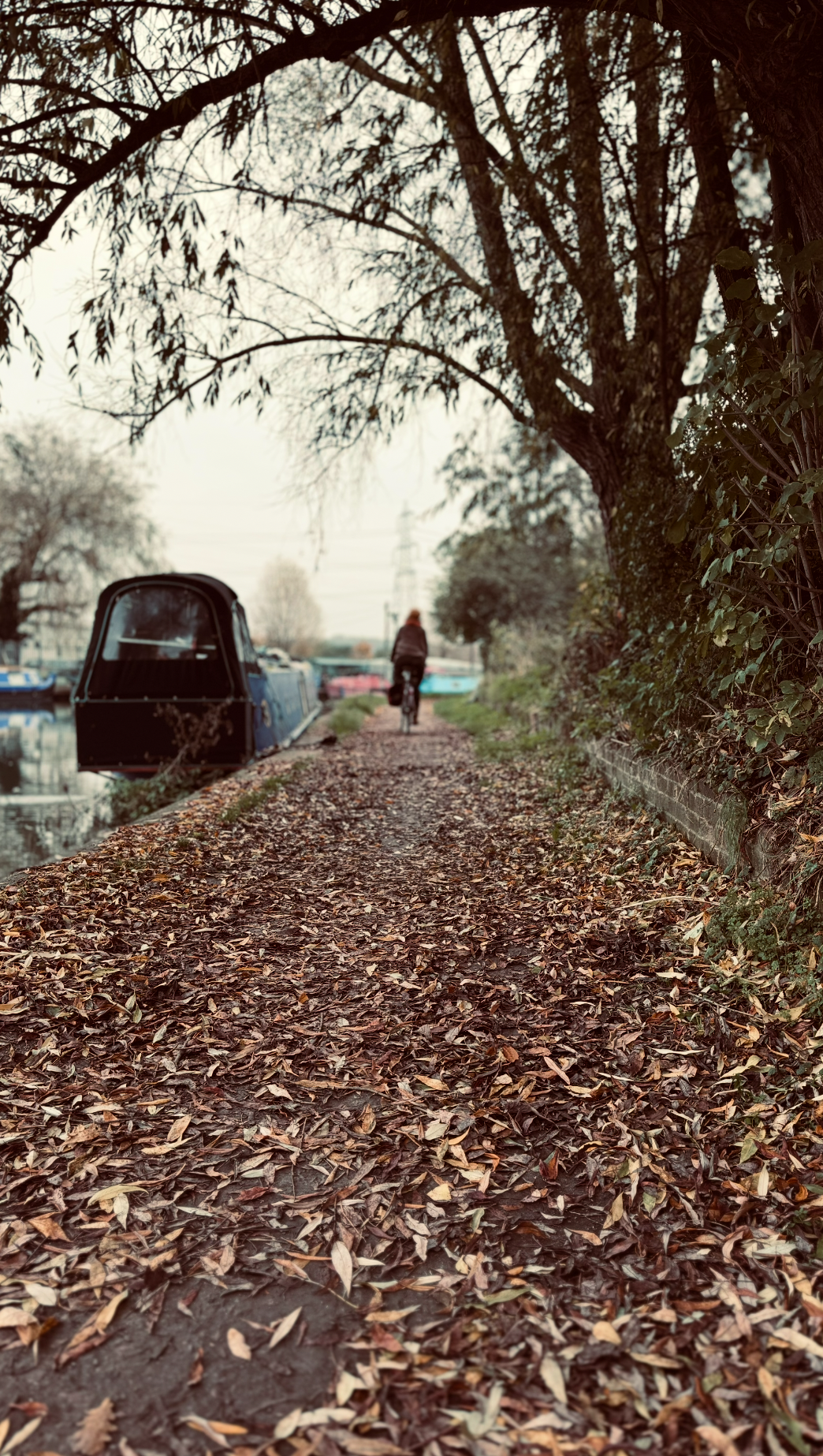 A person riding a bicycle along a leaf-covered dirt path by a canal, with narrowboats visible on the water, trees arching overhead, and an overcast sky.