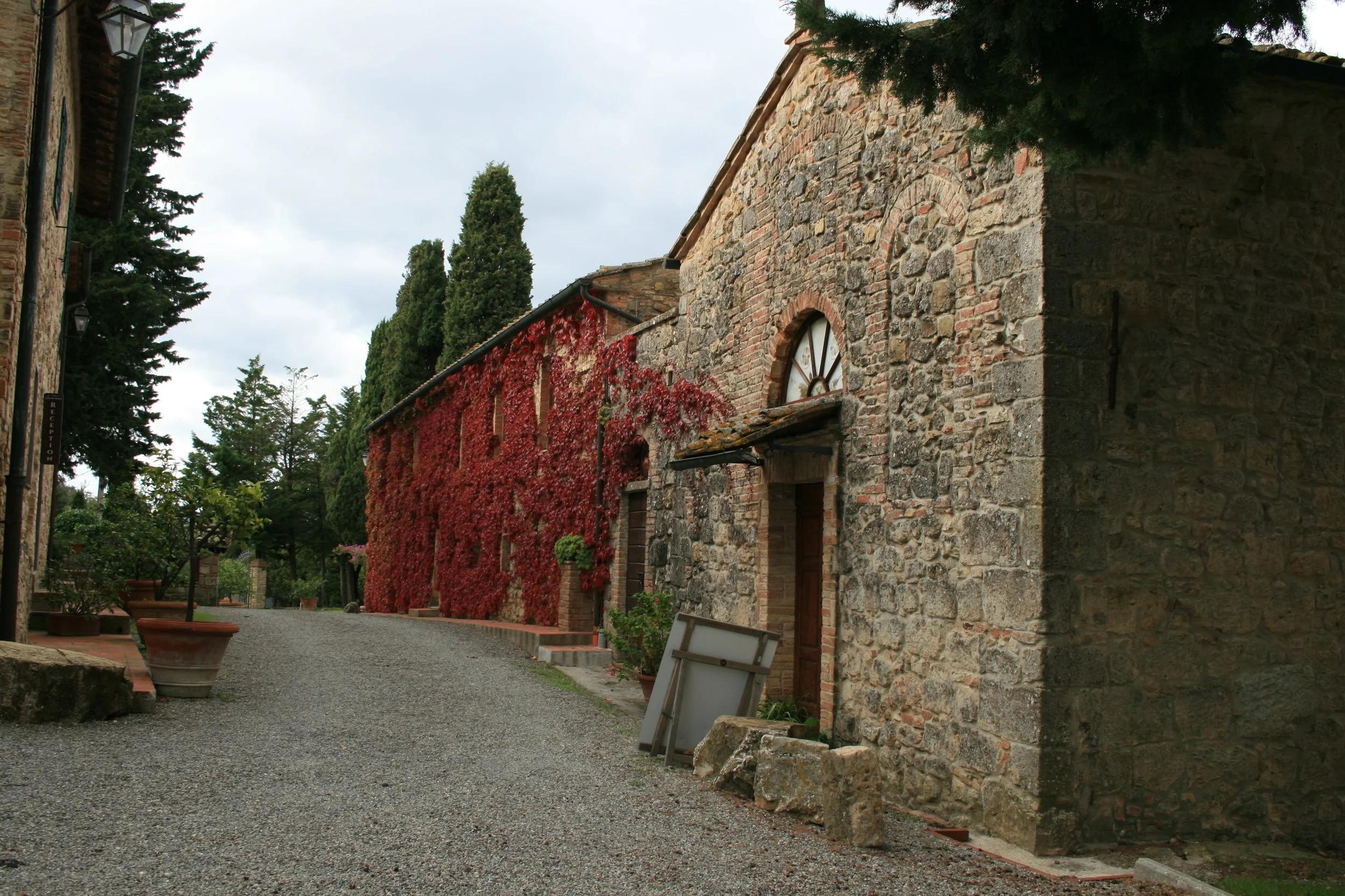 Stone building with a wooden door, arched window, covered in red ivy, on a gravel street with potted plants and trees.