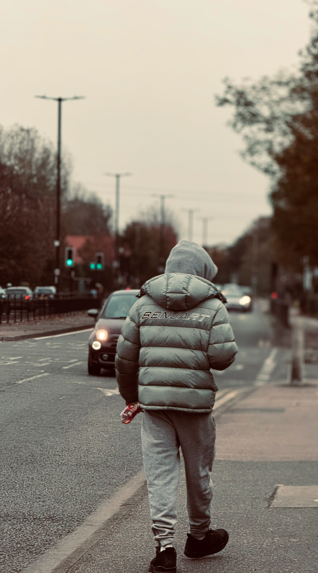 Person walking on a city sidewalk wearing a gray hoodie and puffer jacket, with the back to the camera. Cars on the street and trees lining the road.